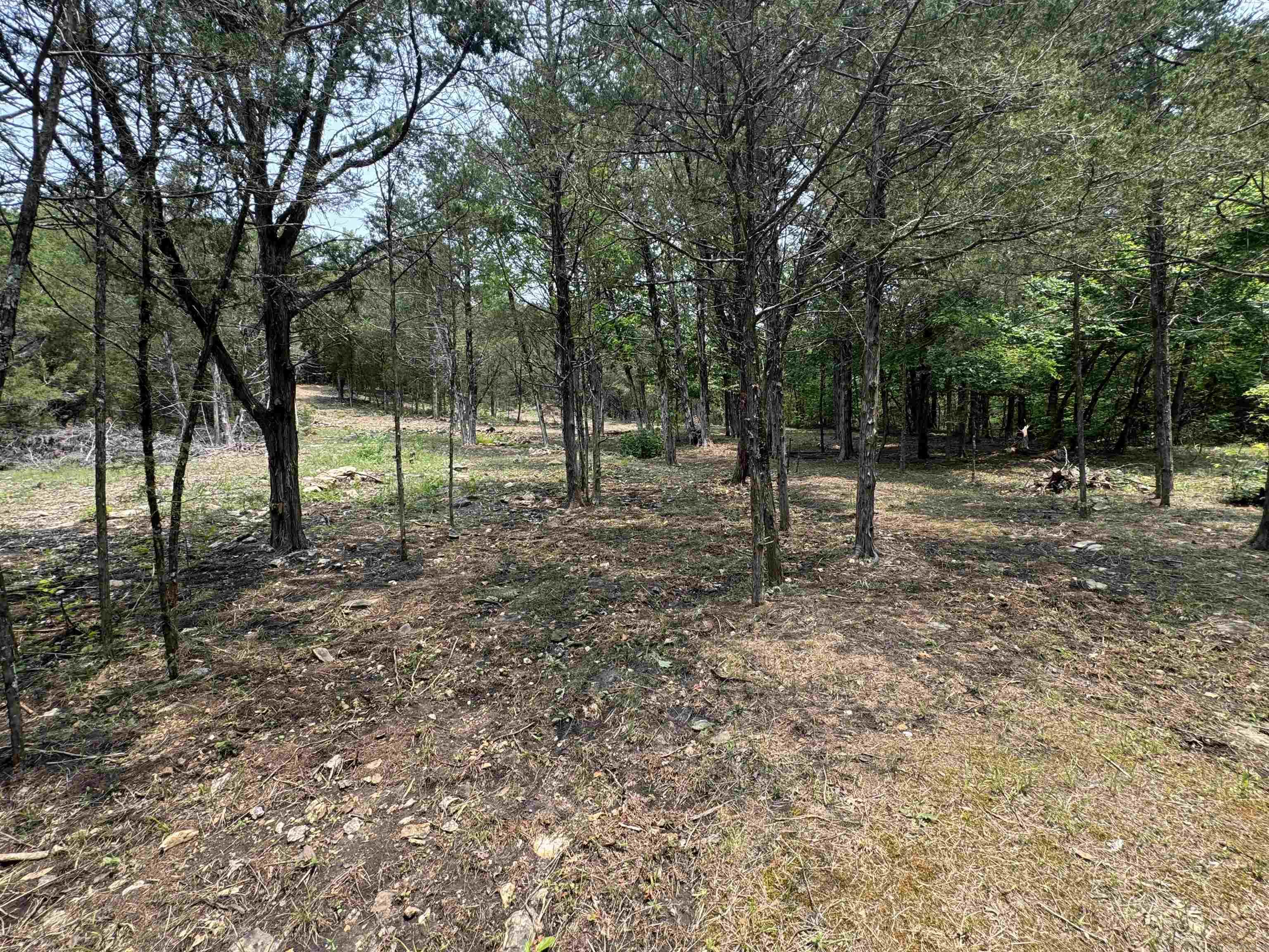 447  Griffin Rd  Hardy, AR