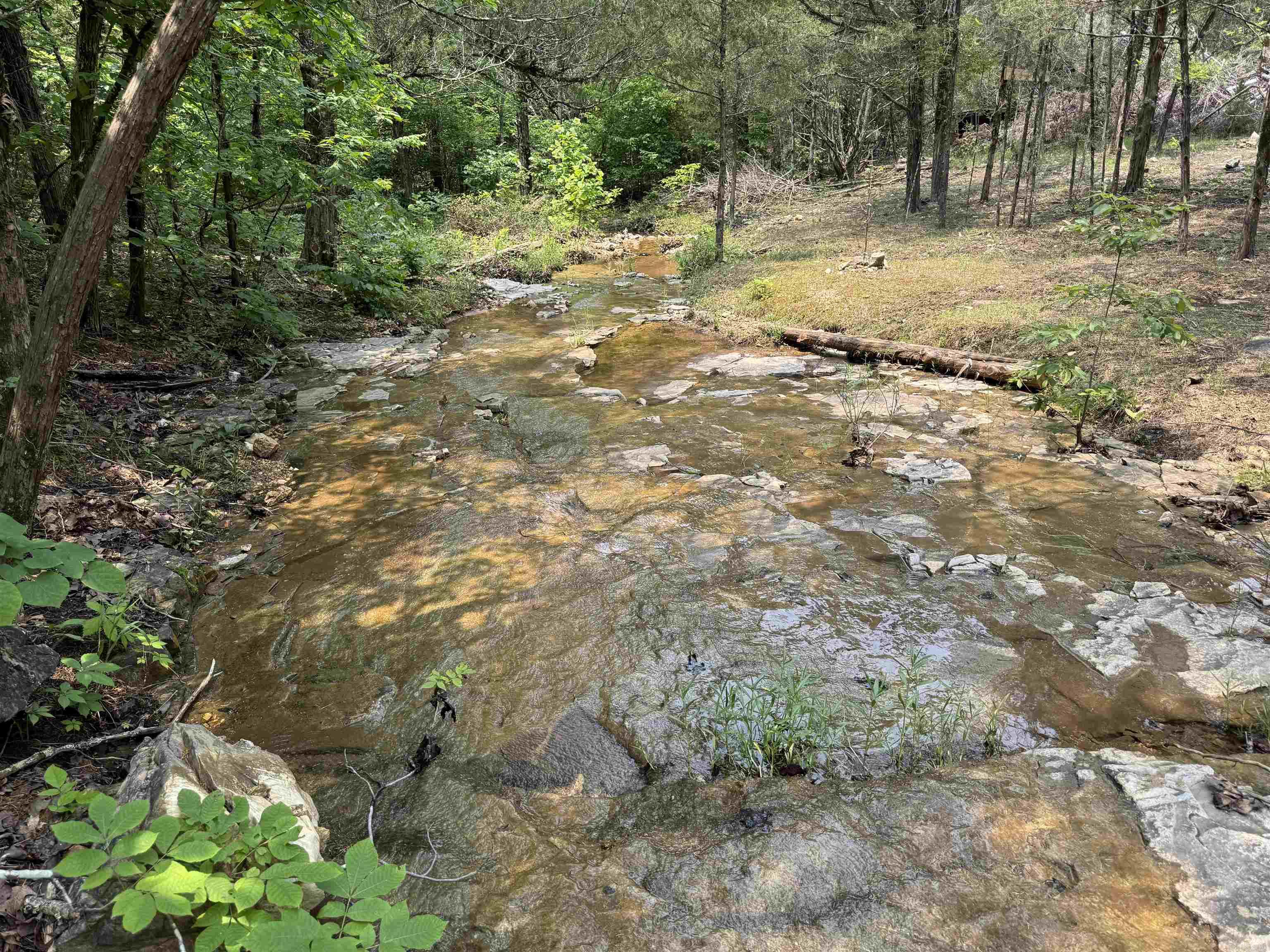 447  Griffin Rd  Hardy, AR