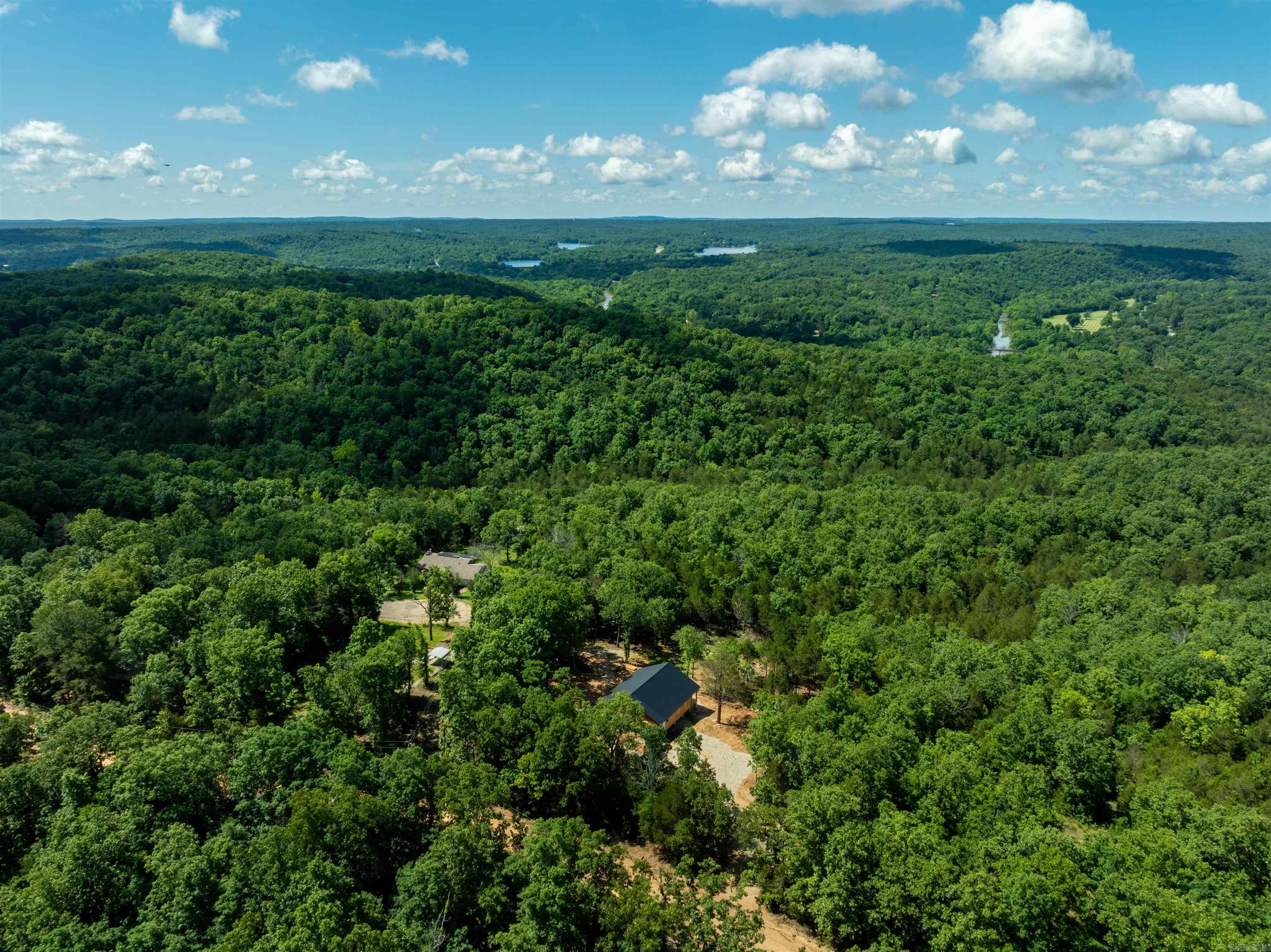 447  Griffin Rd  Hardy, AR