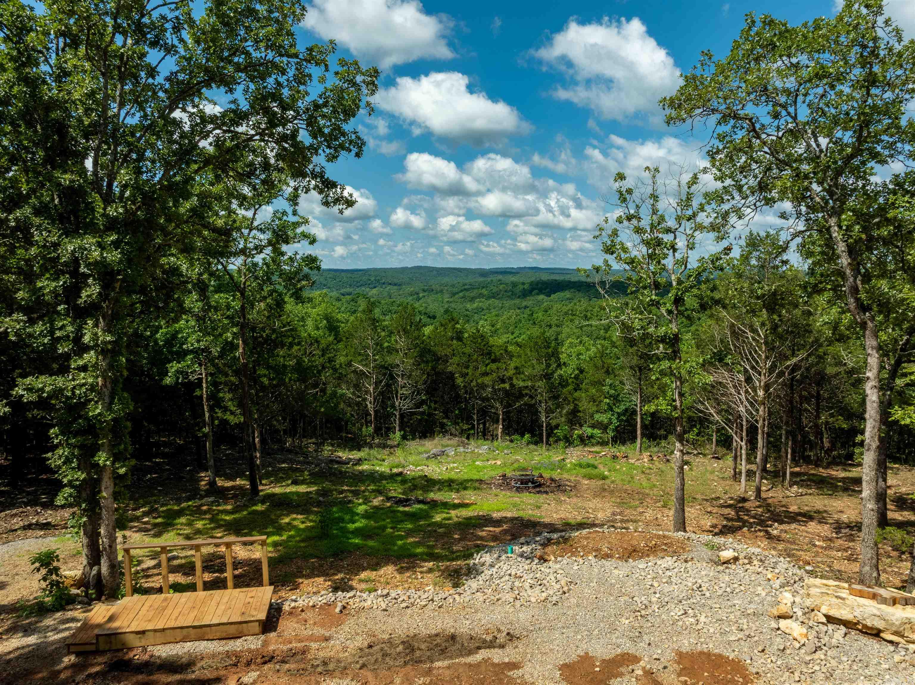 447  Griffin Rd  Hardy, AR
