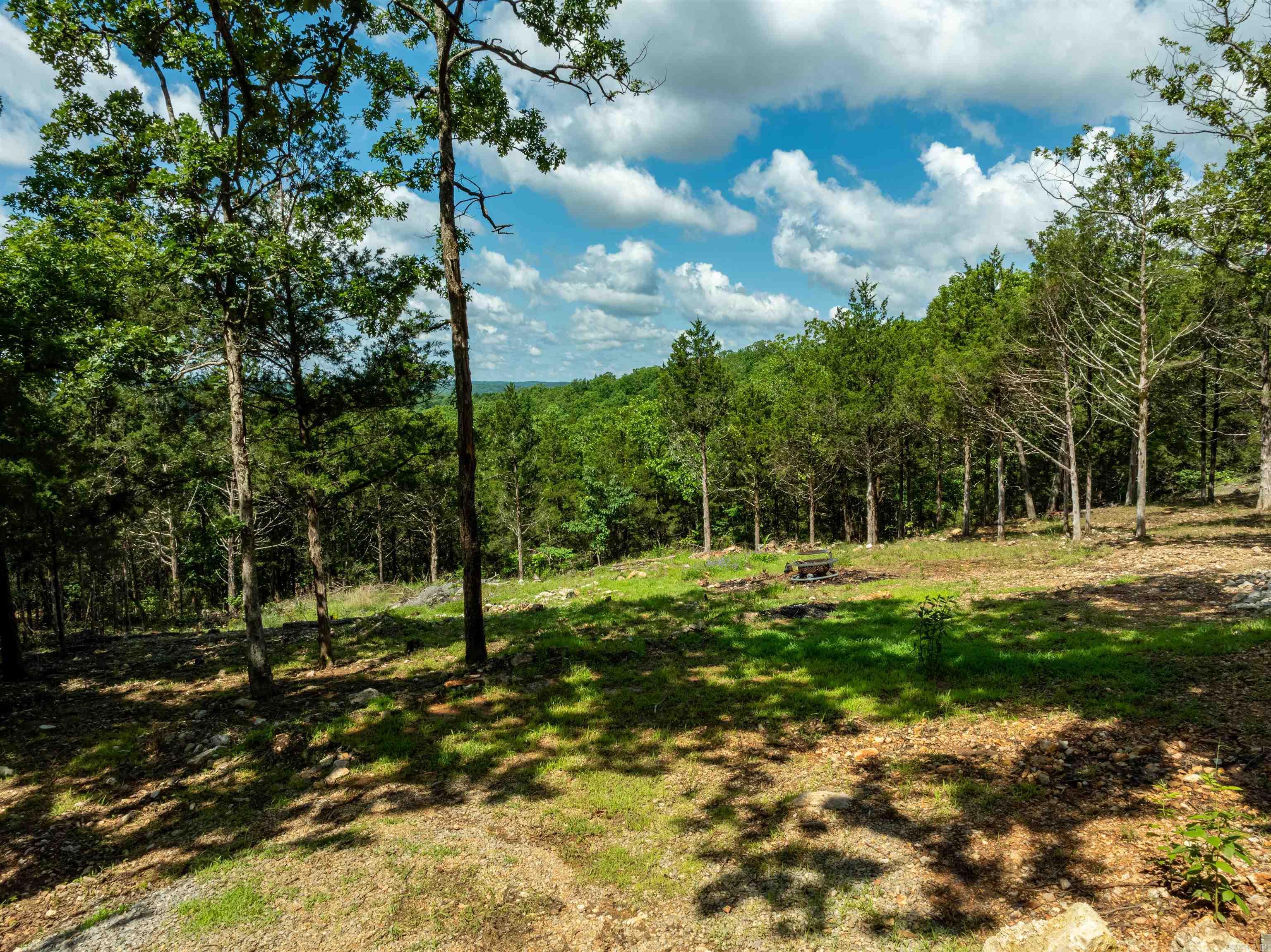 447  Griffin Rd  Hardy, AR