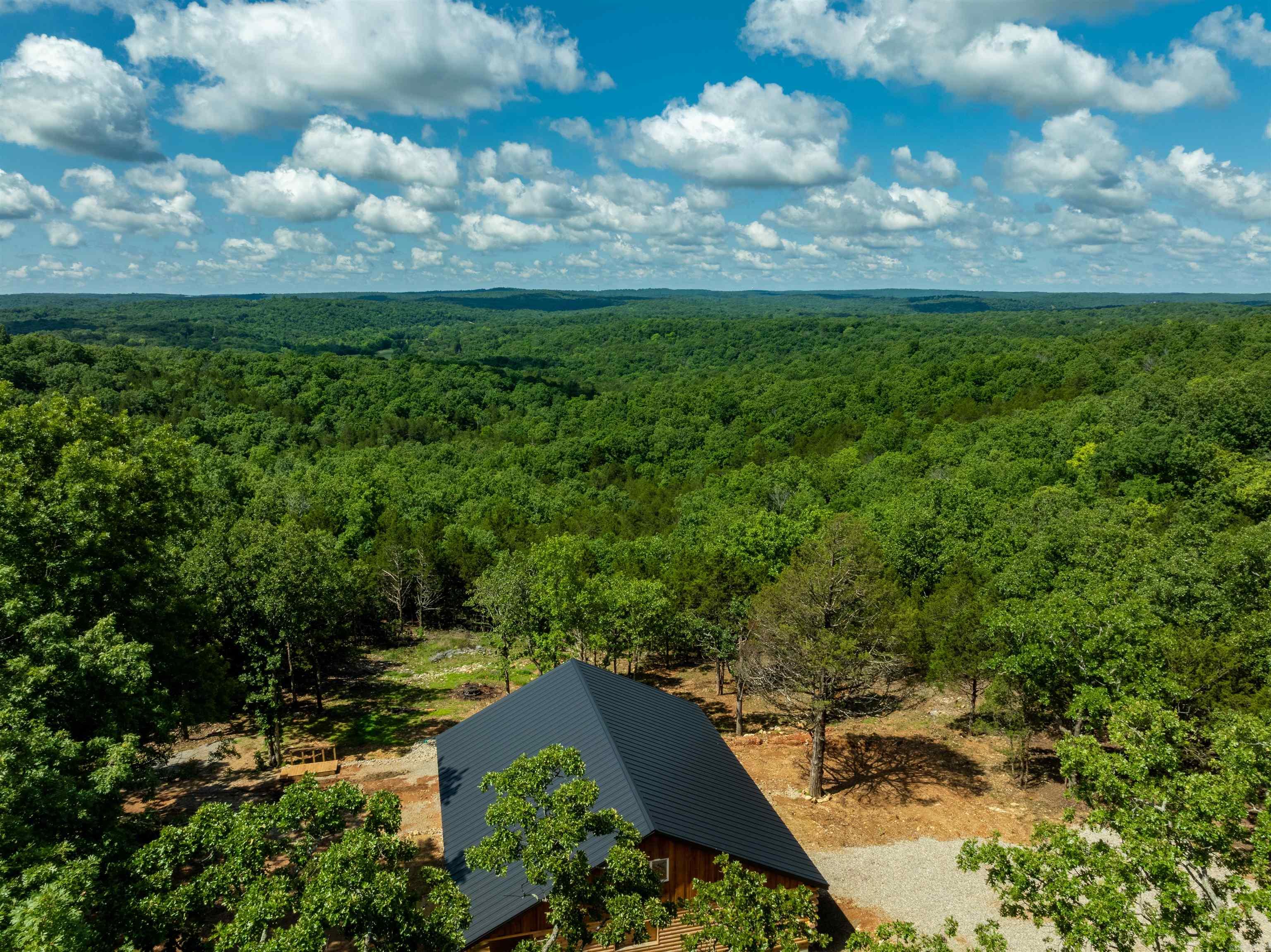 447  Griffin Rd  Hardy, AR