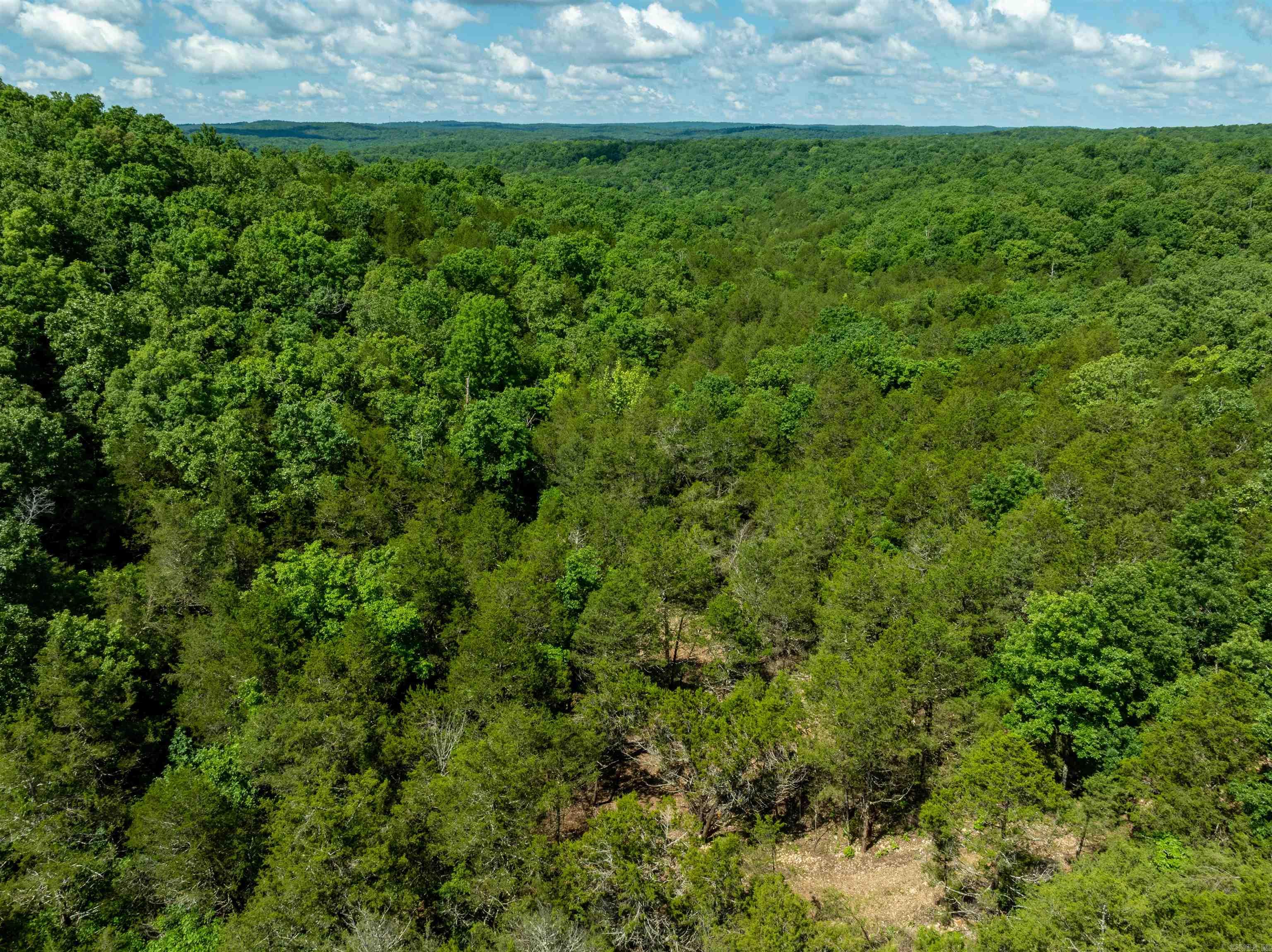 447  Griffin Rd  Hardy, AR
