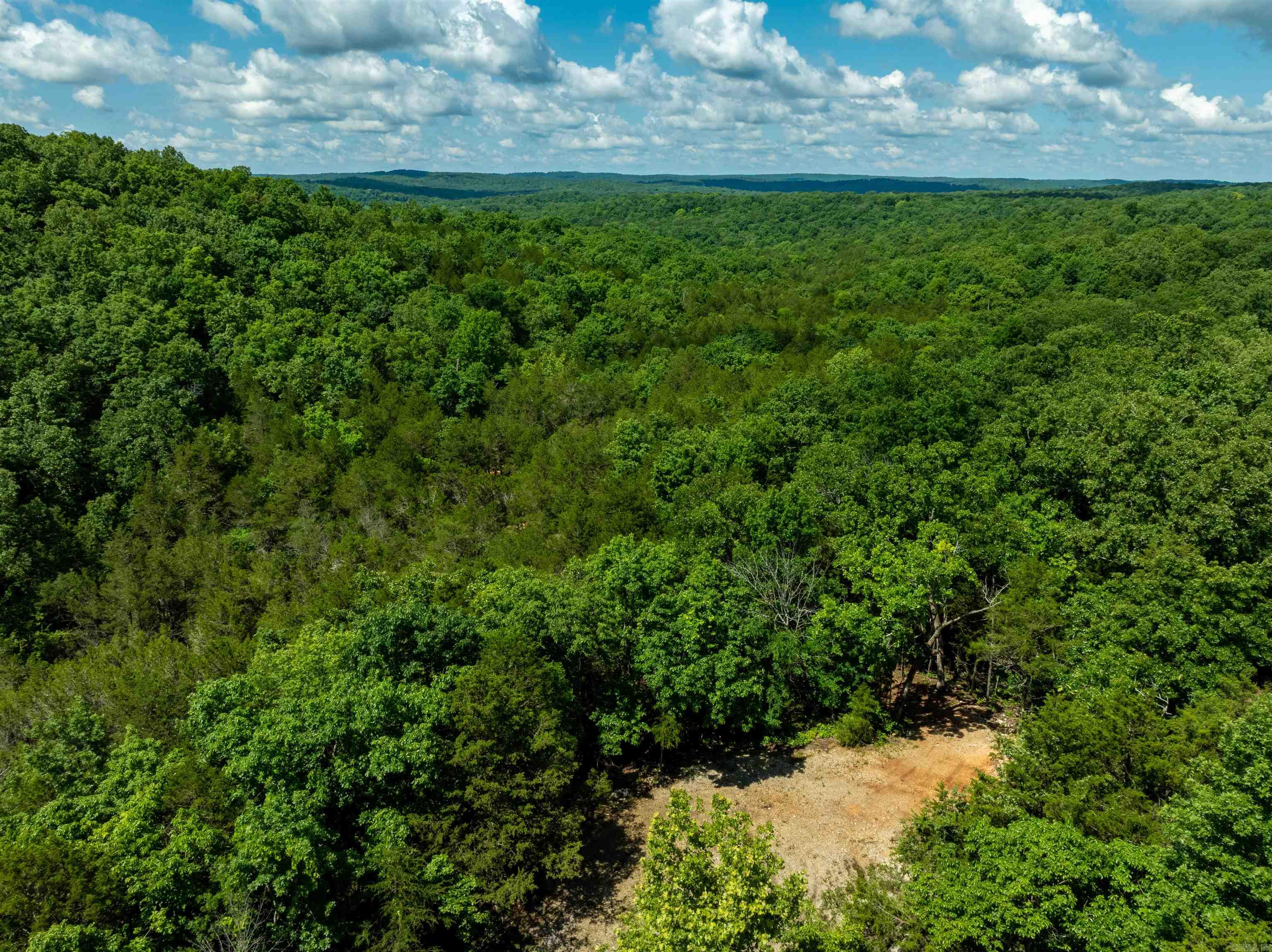 447  Griffin Rd  Hardy, AR