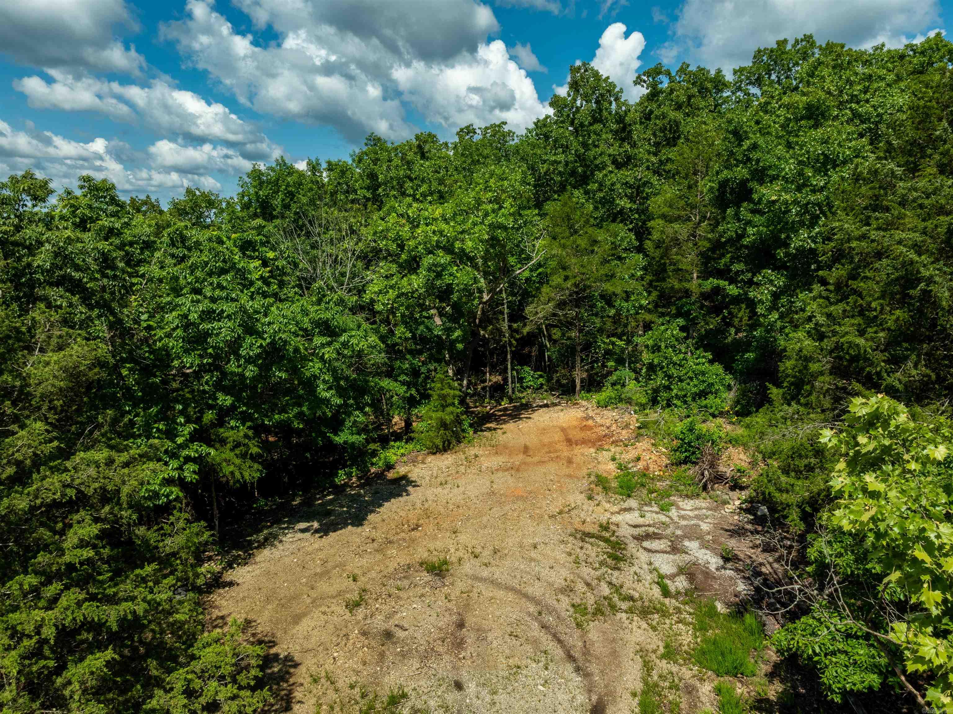 447  Griffin Rd  Hardy, AR