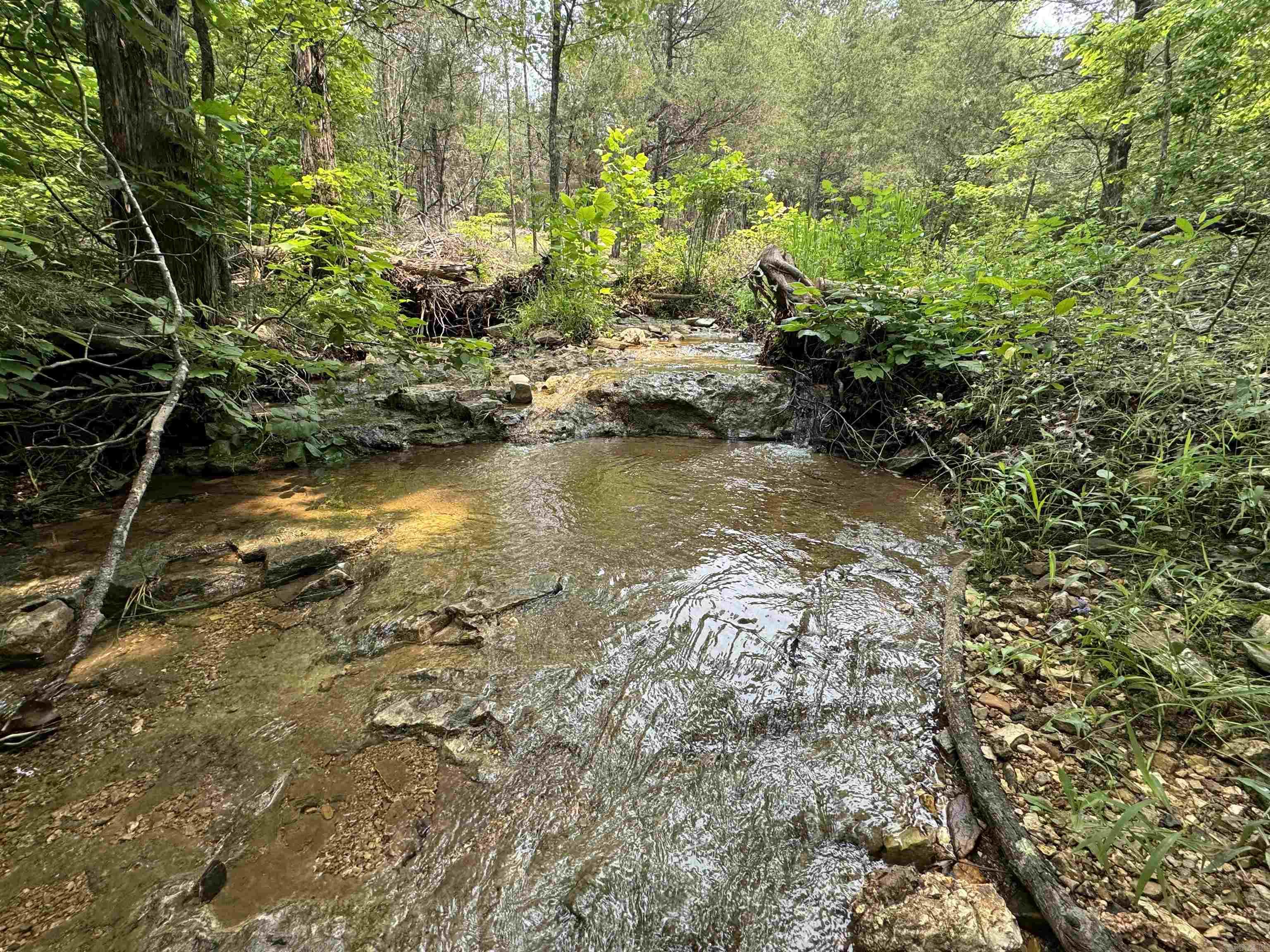 447  Griffin Rd  Hardy, AR
