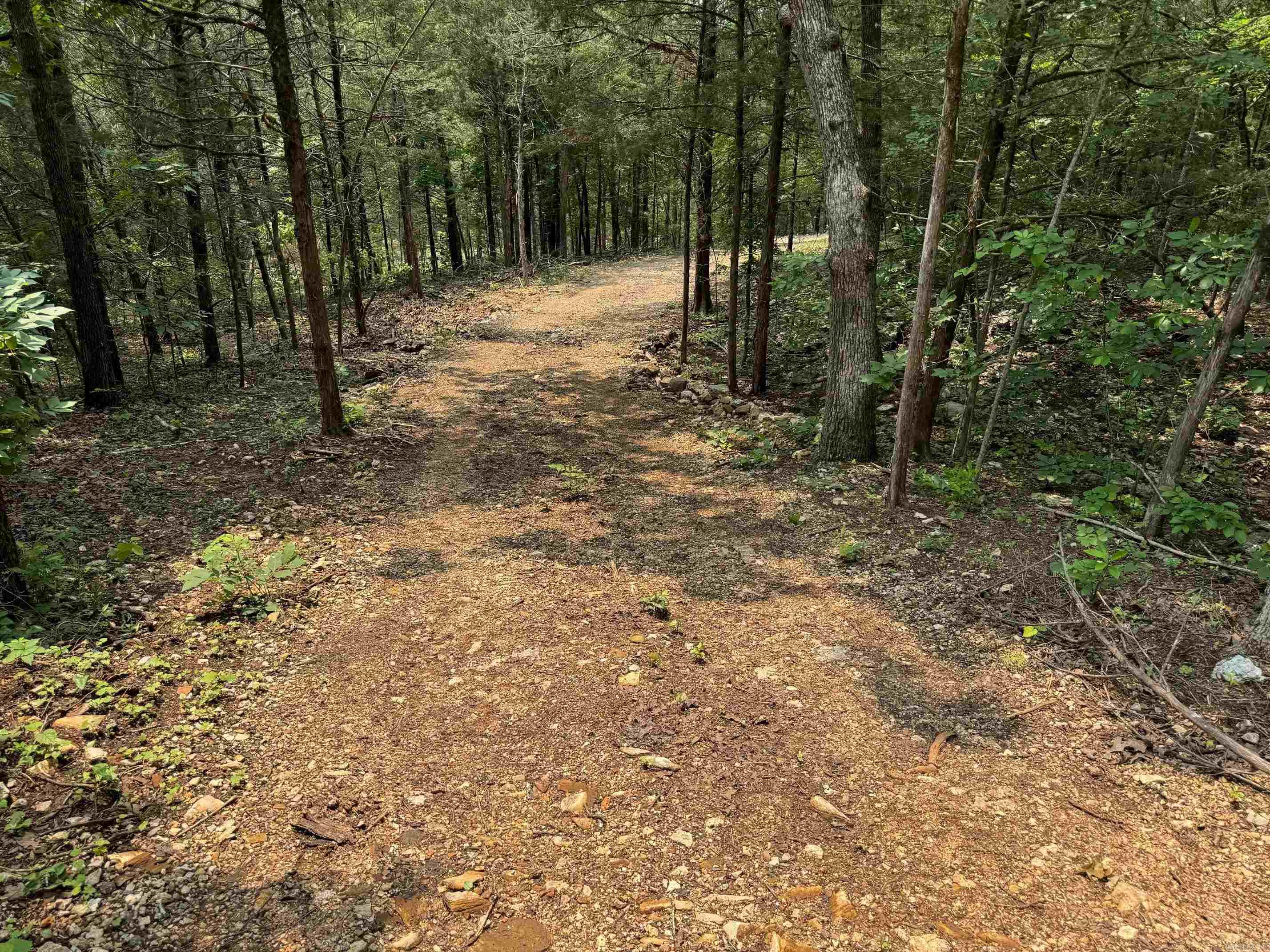 447  Griffin Rd  Hardy, AR