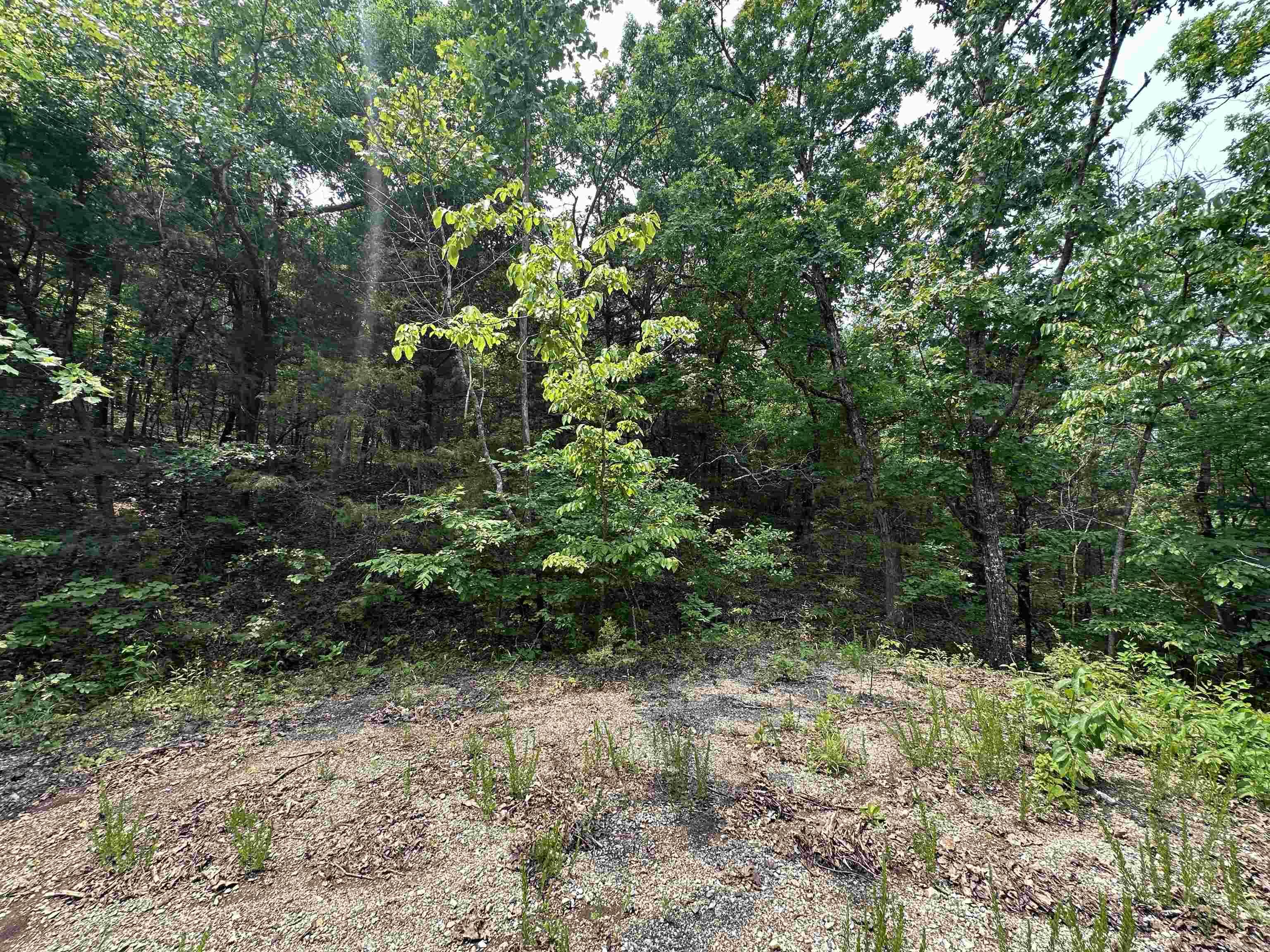 447  Griffin Rd  Hardy, AR