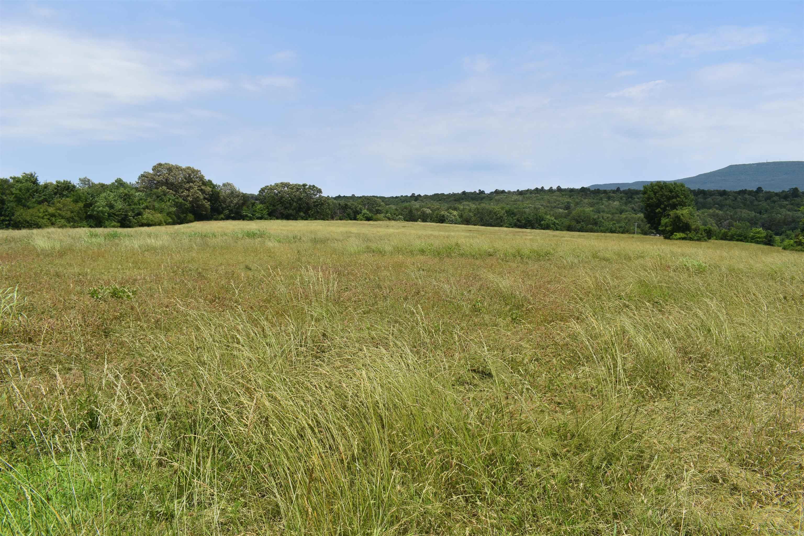 0000  HWY 309  Waveland, AR
