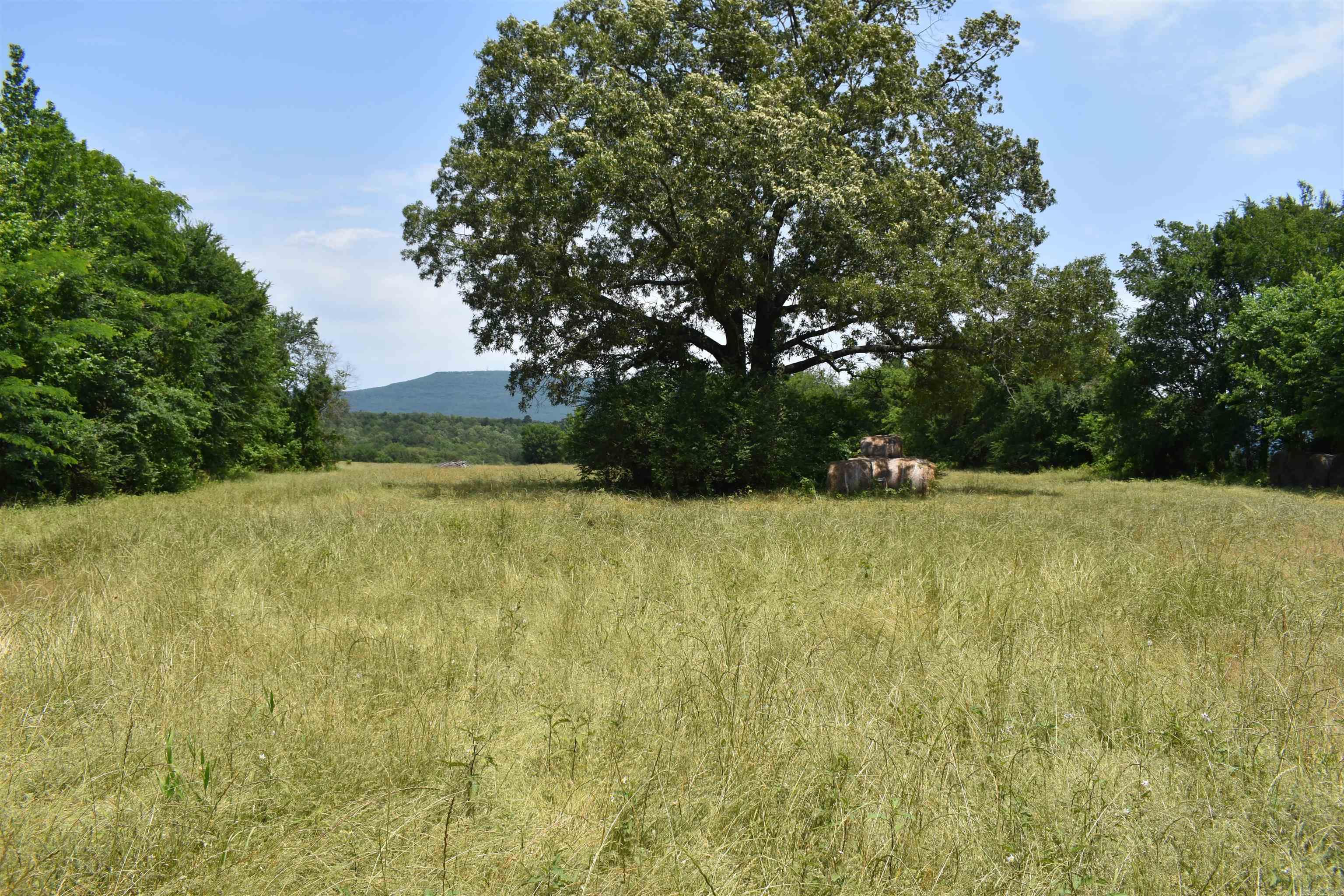 0000  HWY 309  Waveland, AR