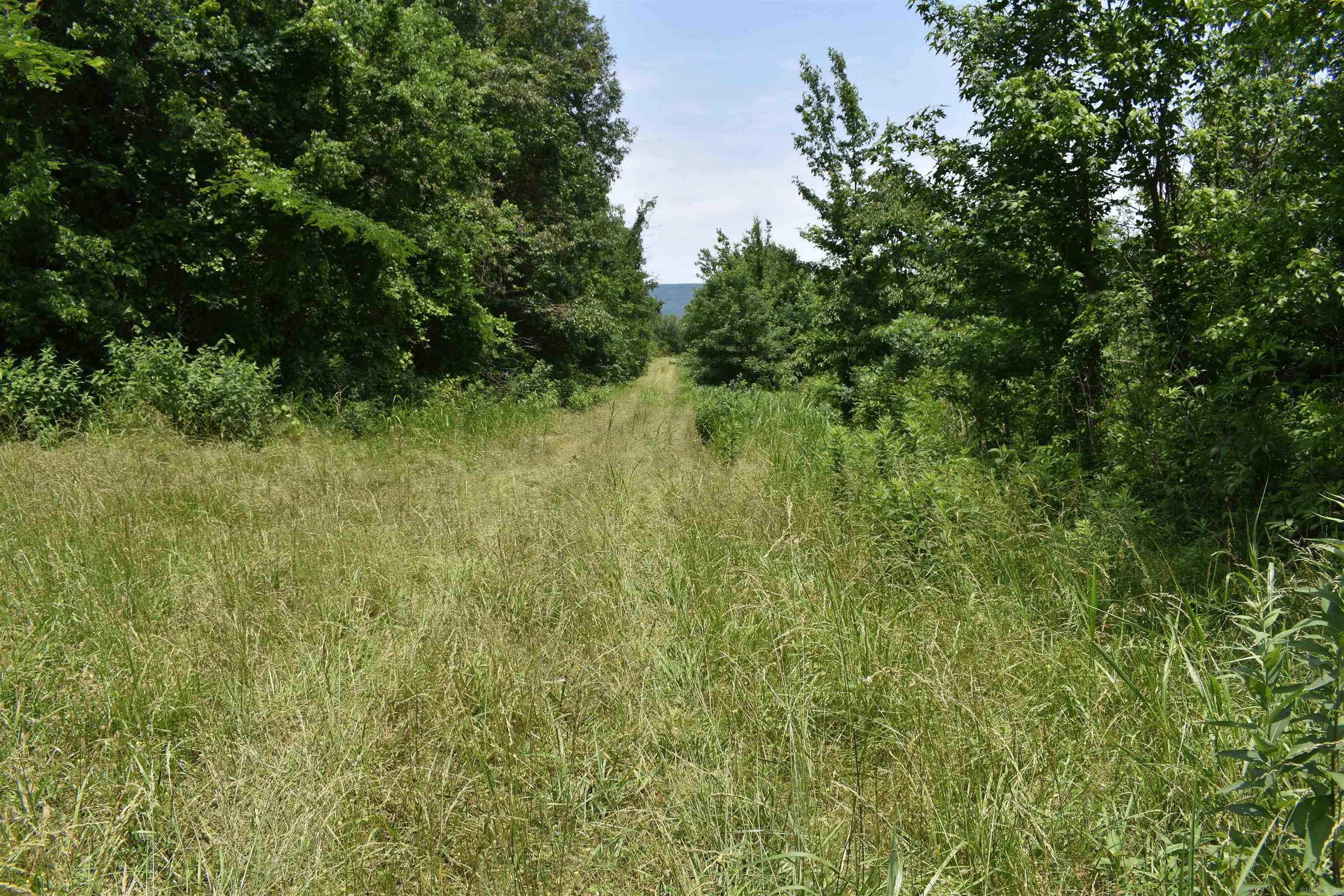 0000  HWY 309  Waveland, AR