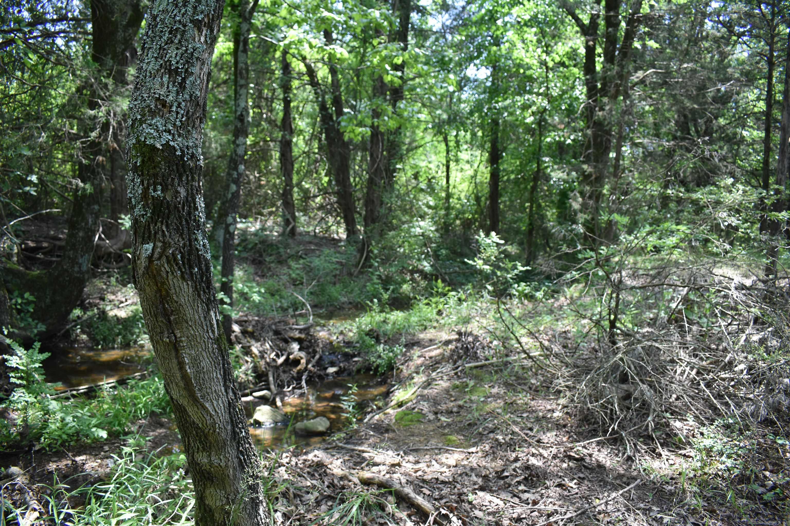 0000  HWY 309  Waveland, AR