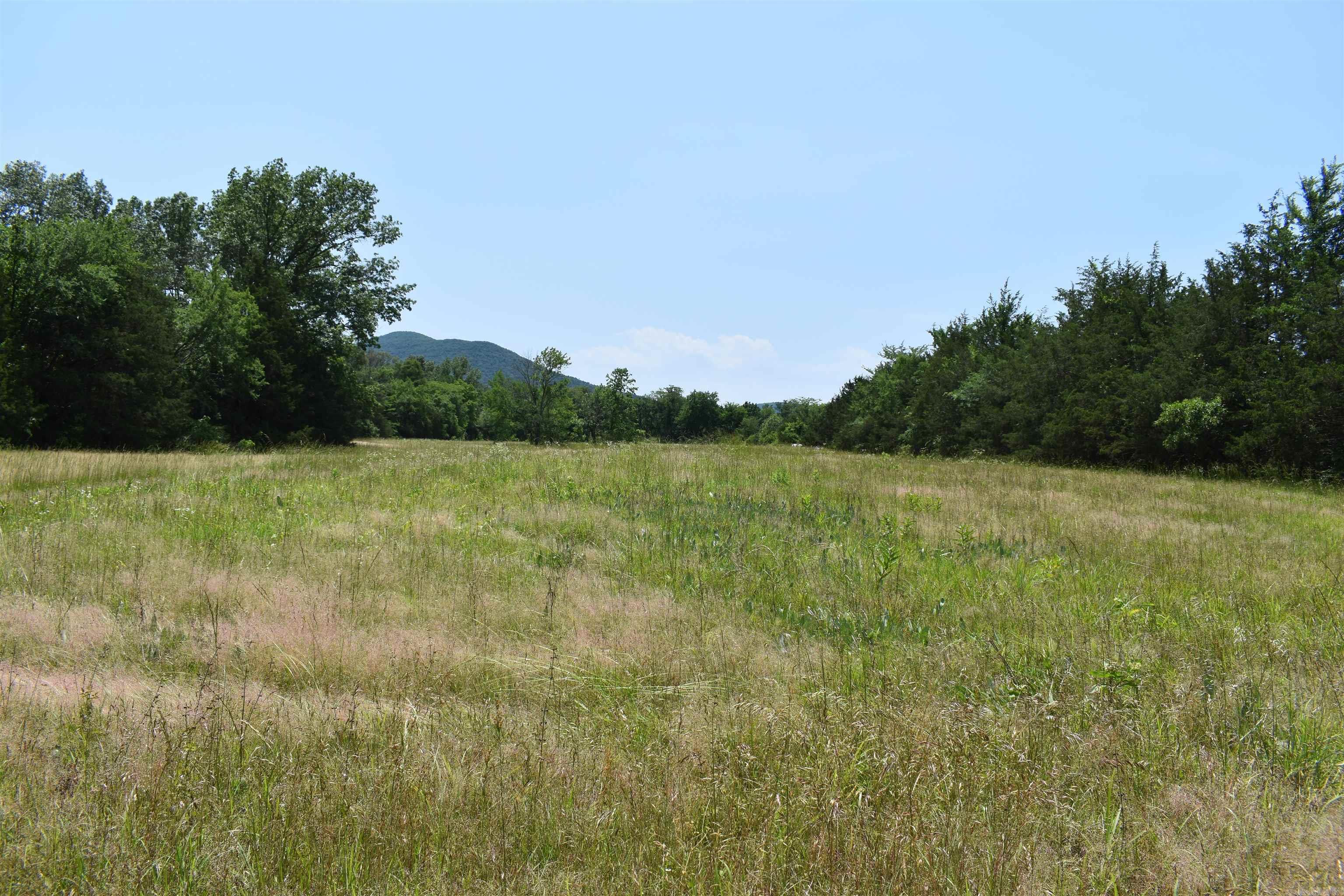 0000  HWY 309  Waveland, AR