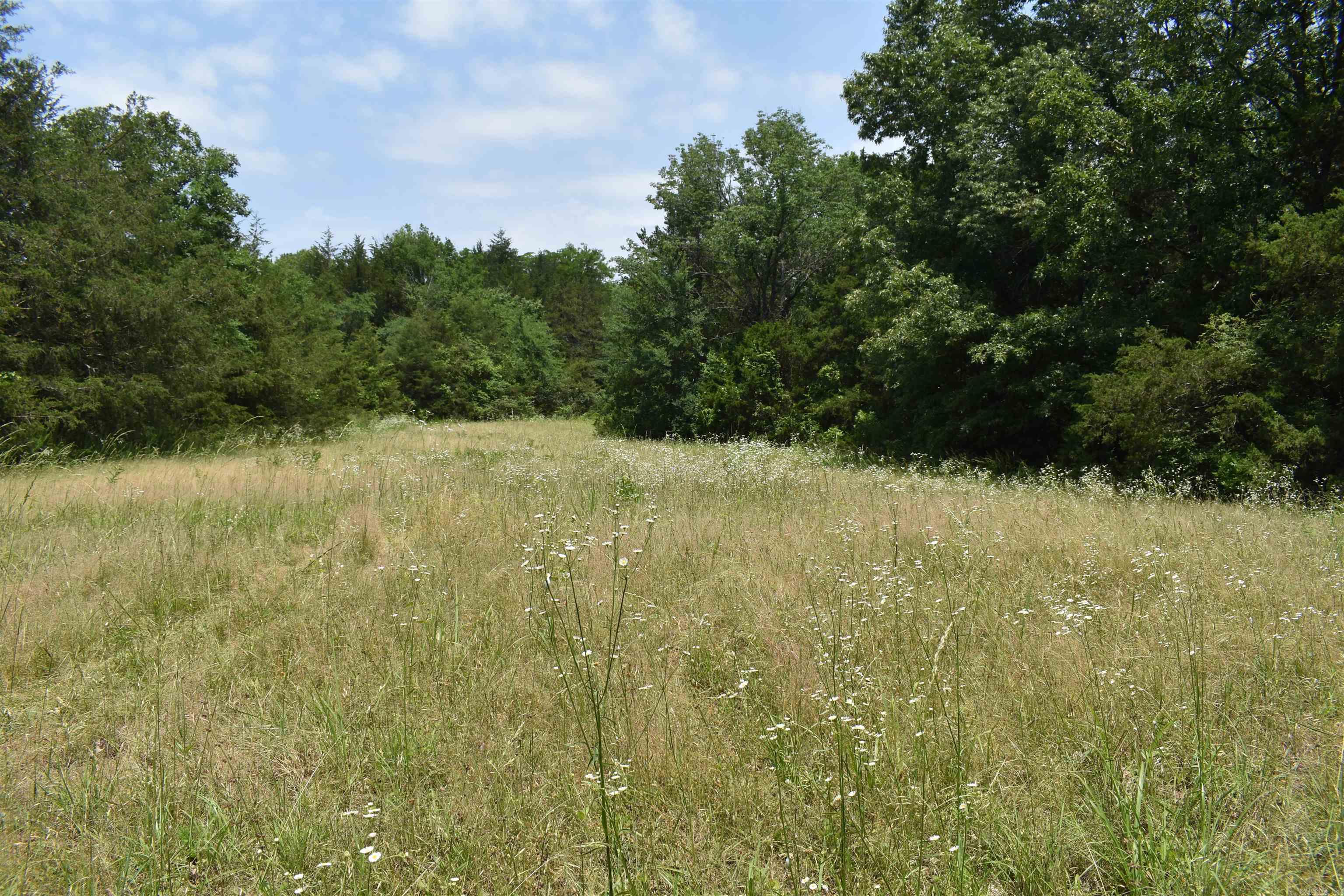 0000  HWY 309  Waveland, AR