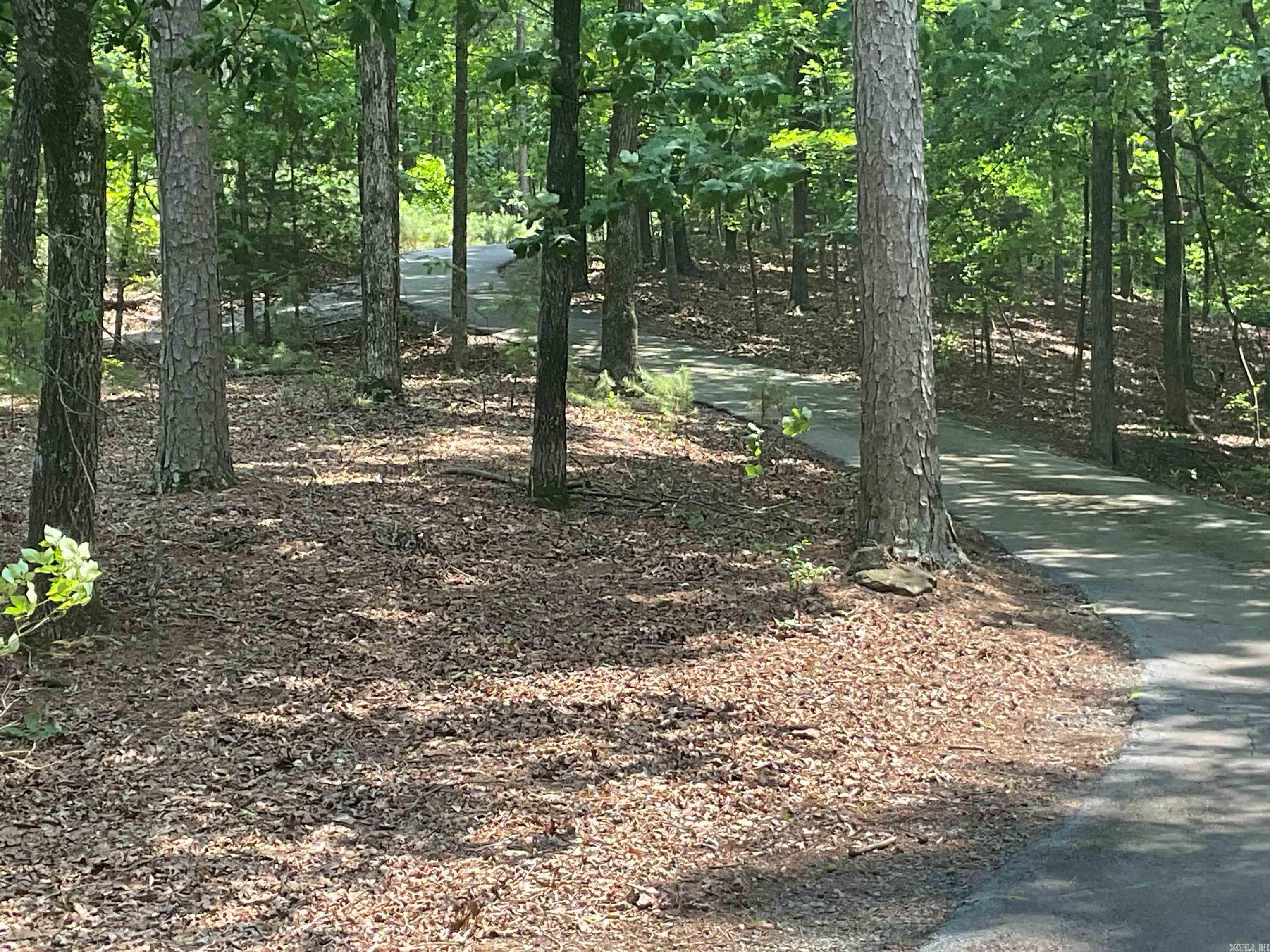 935  Christopher  Quitman, AR