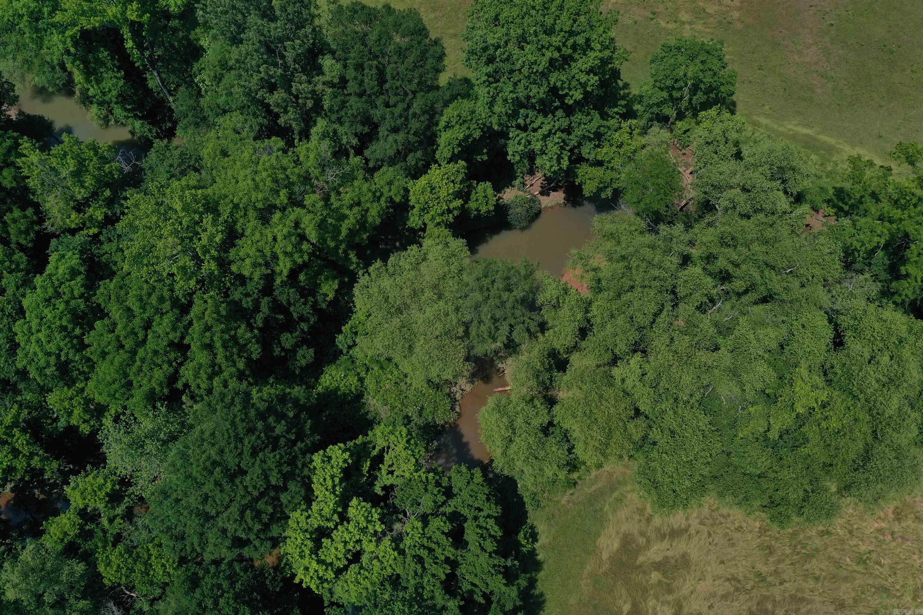 0000  Spring Creek Road  Danville, AR