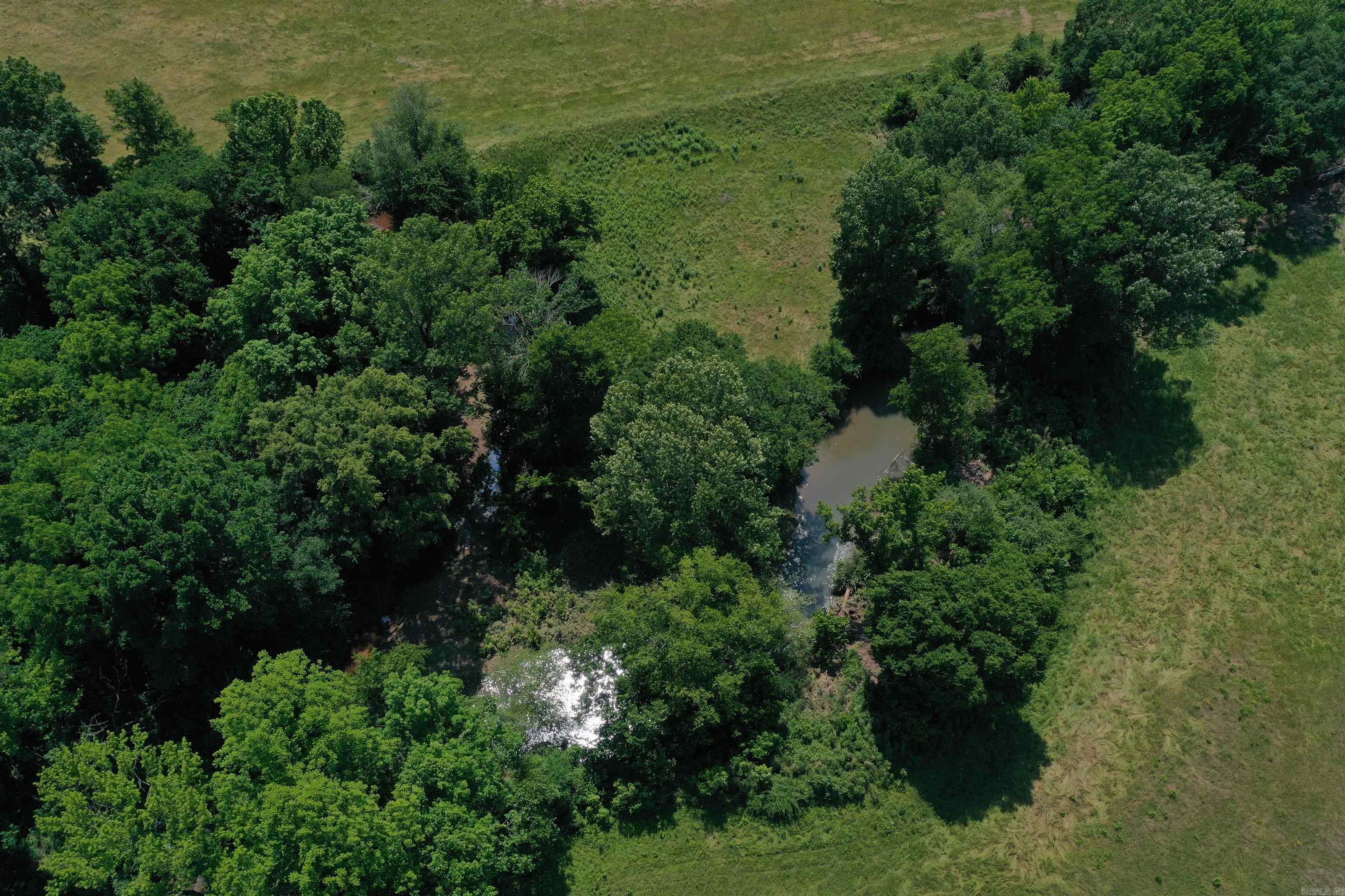 0000  Spring Creek Road  Danville, AR