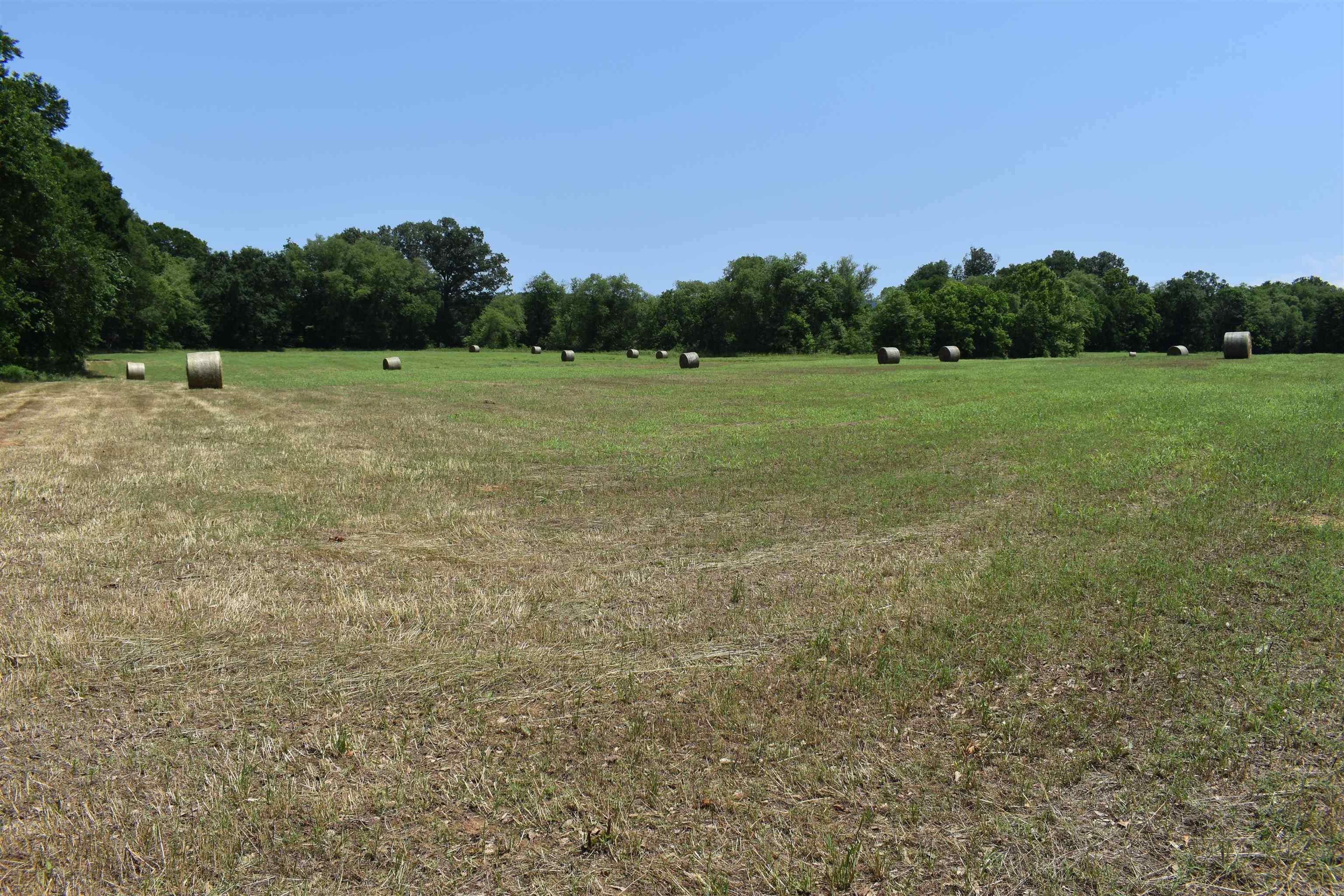 0000  Spring Creek Road  Danville, AR