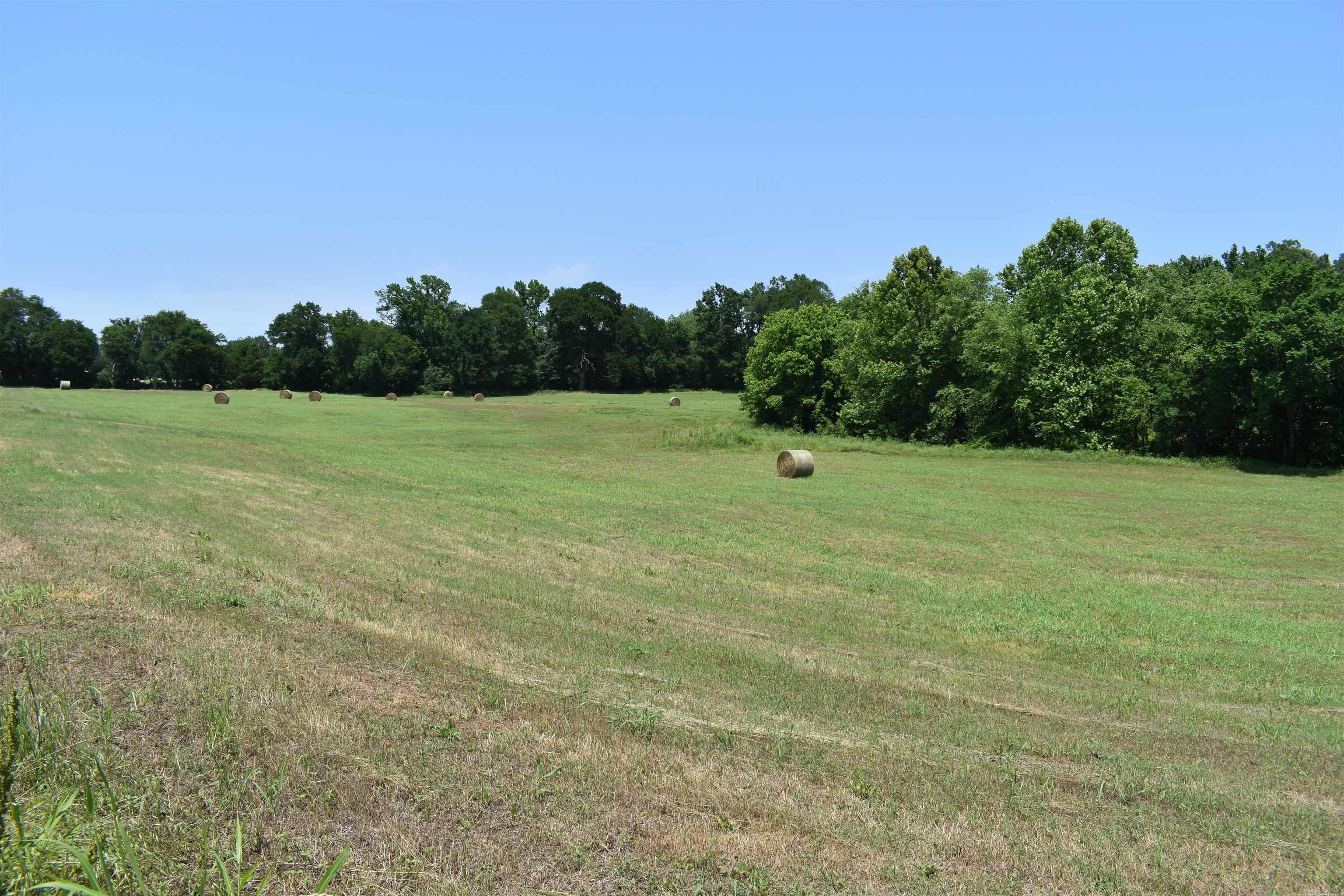 0000  Spring Creek Road  Danville, AR