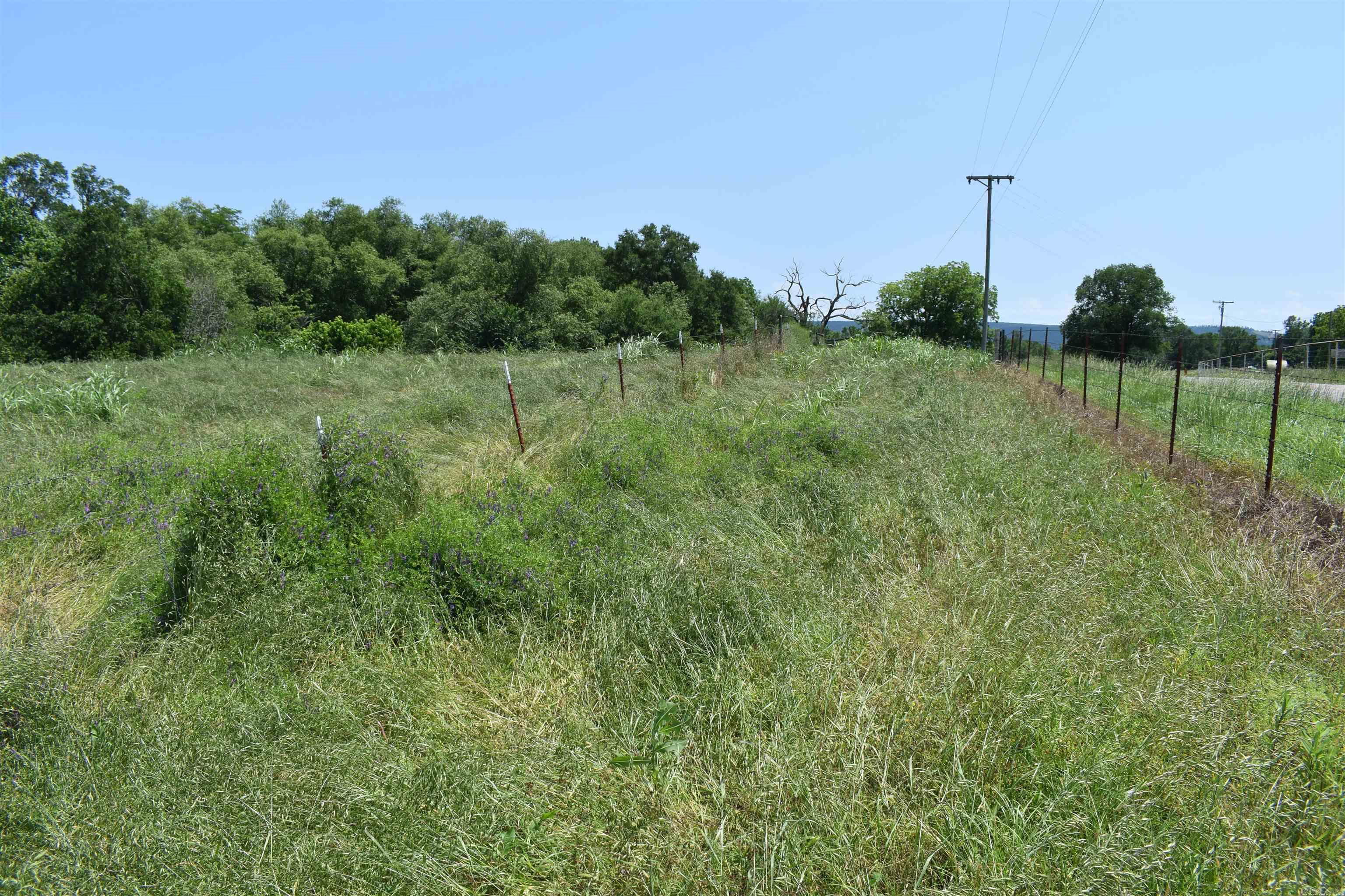0000  Spring Creek Road  Danville, AR