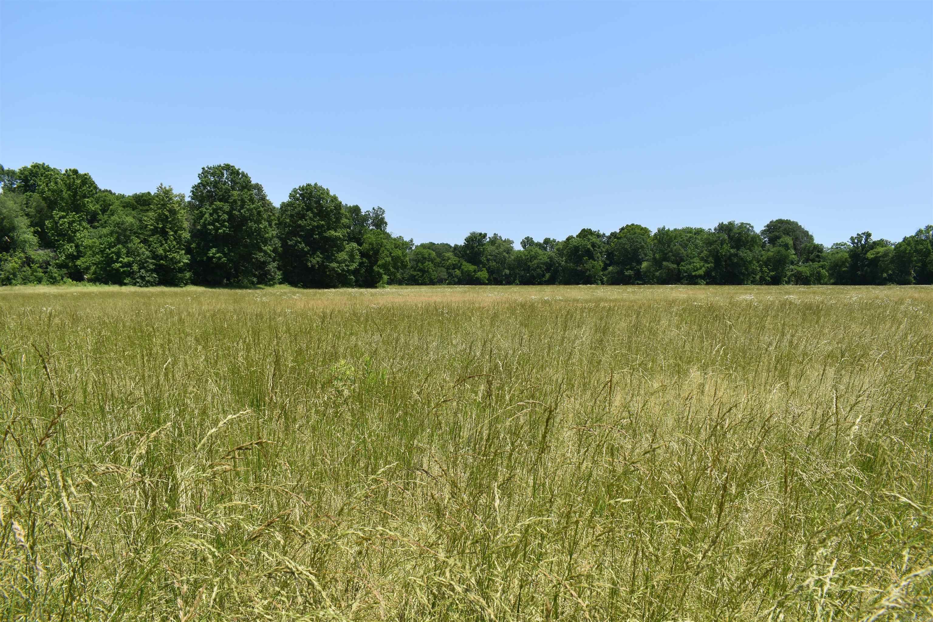 0000  Spring Creek Road  Danville, AR