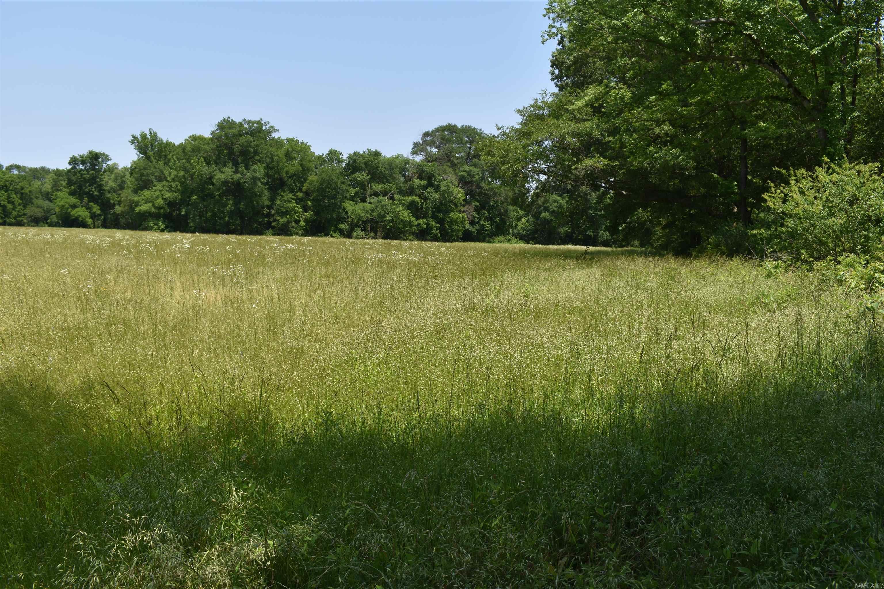 0000  Spring Creek Road  Danville, AR