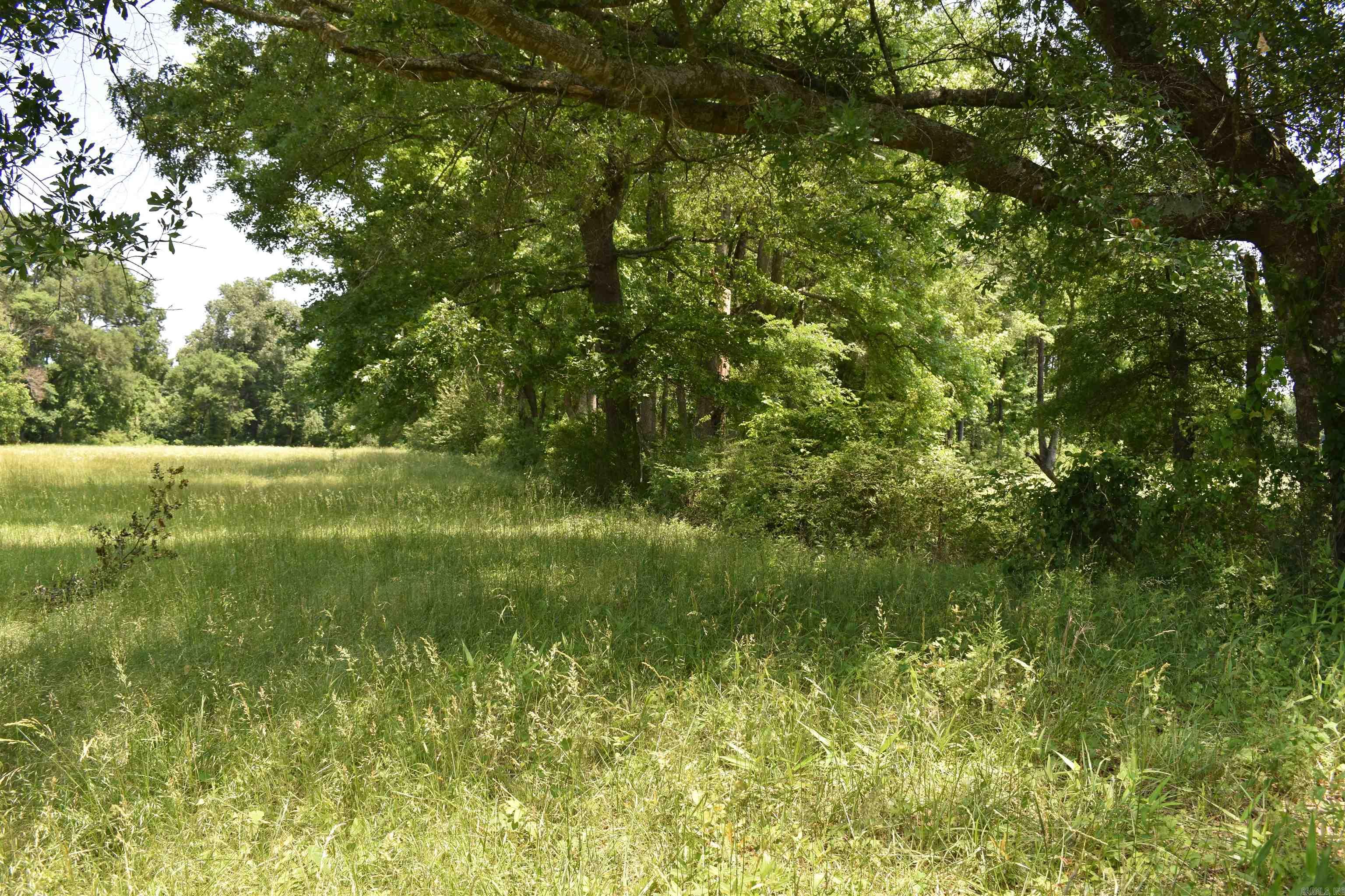 0000  Spring Creek Road  Danville, AR