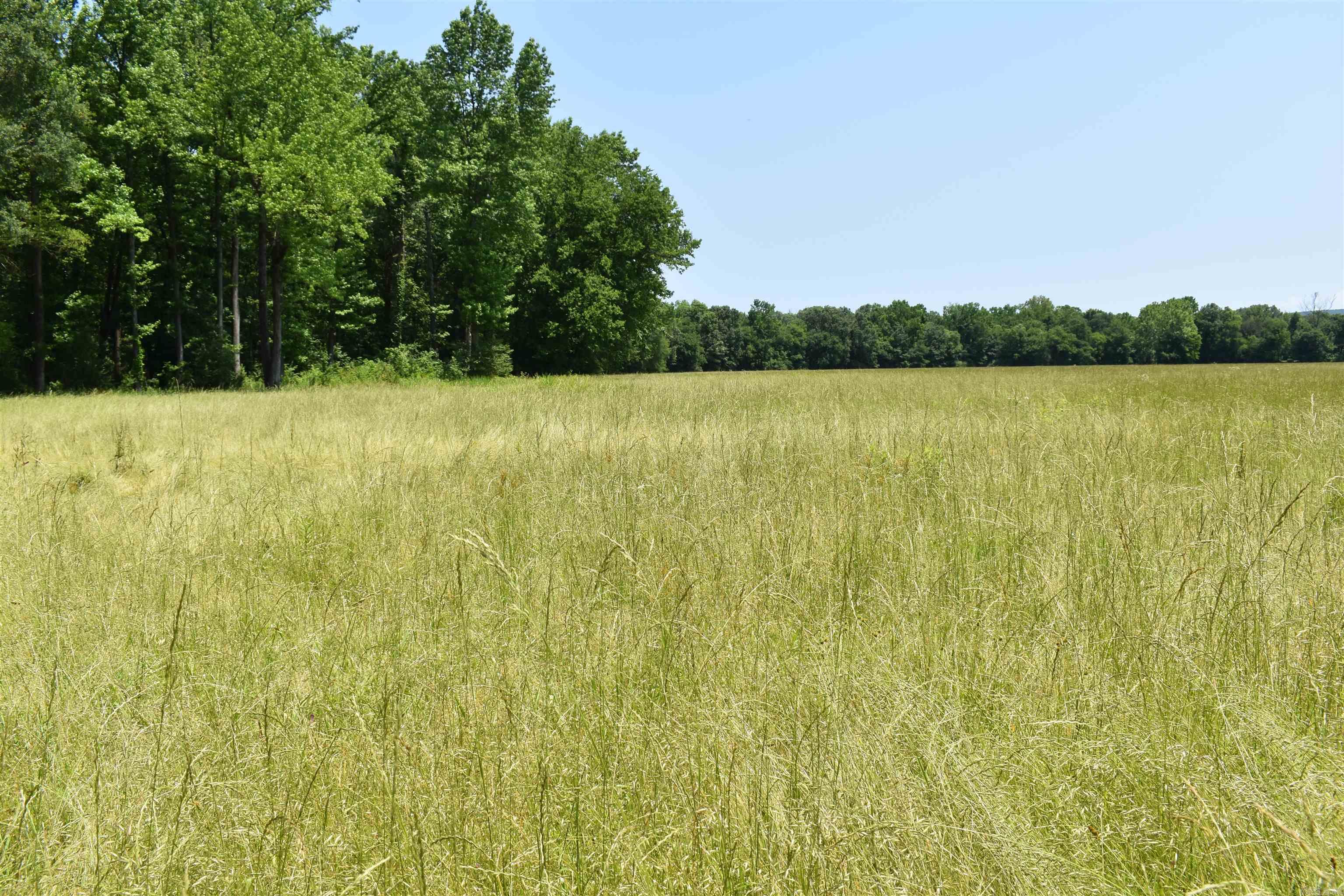 0000  Spring Creek Road  Danville, AR