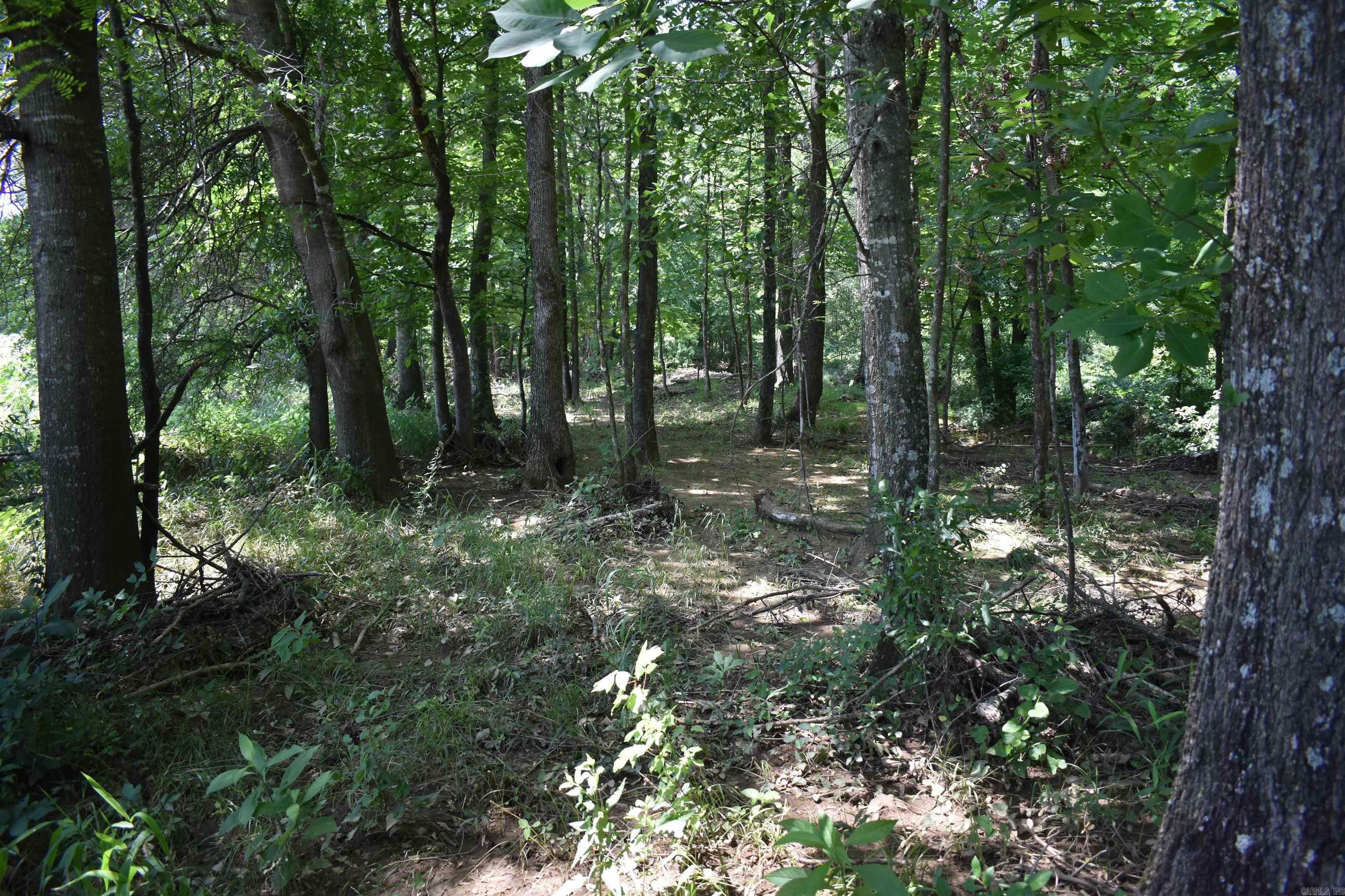 0000  Spring Creek Road  Danville, AR