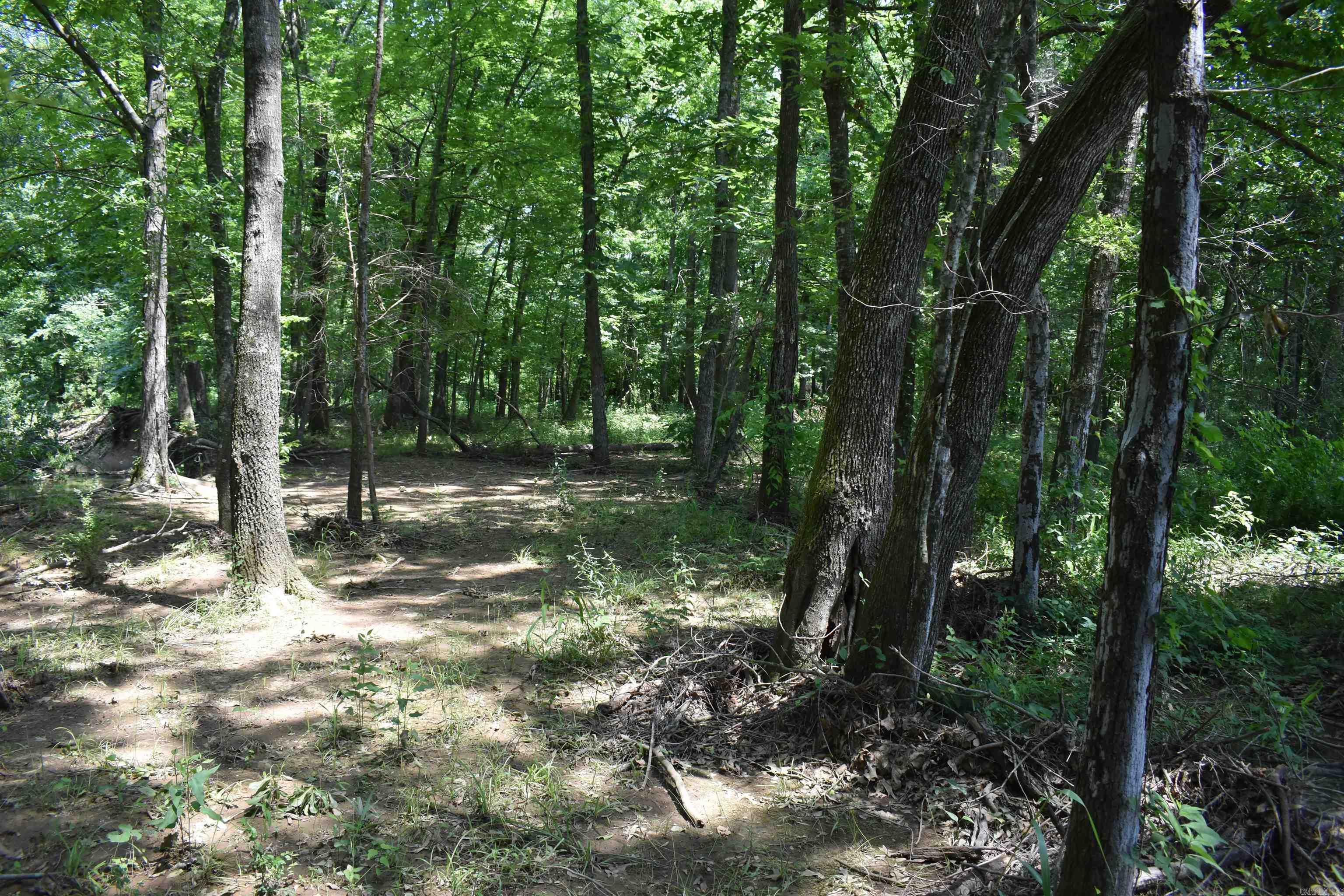 0000  Spring Creek Road  Danville, AR