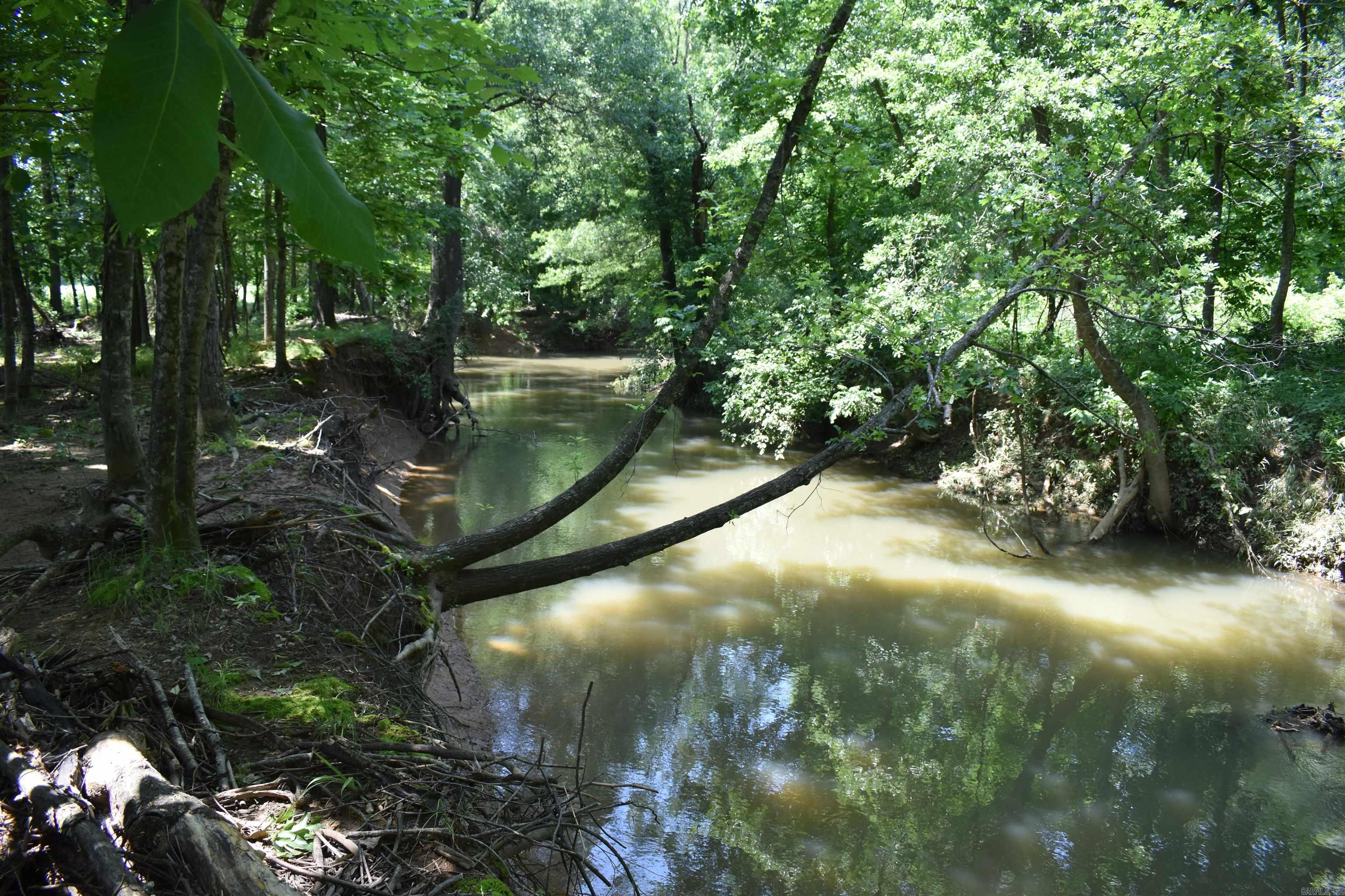 0000  Spring Creek Road  Danville, AR