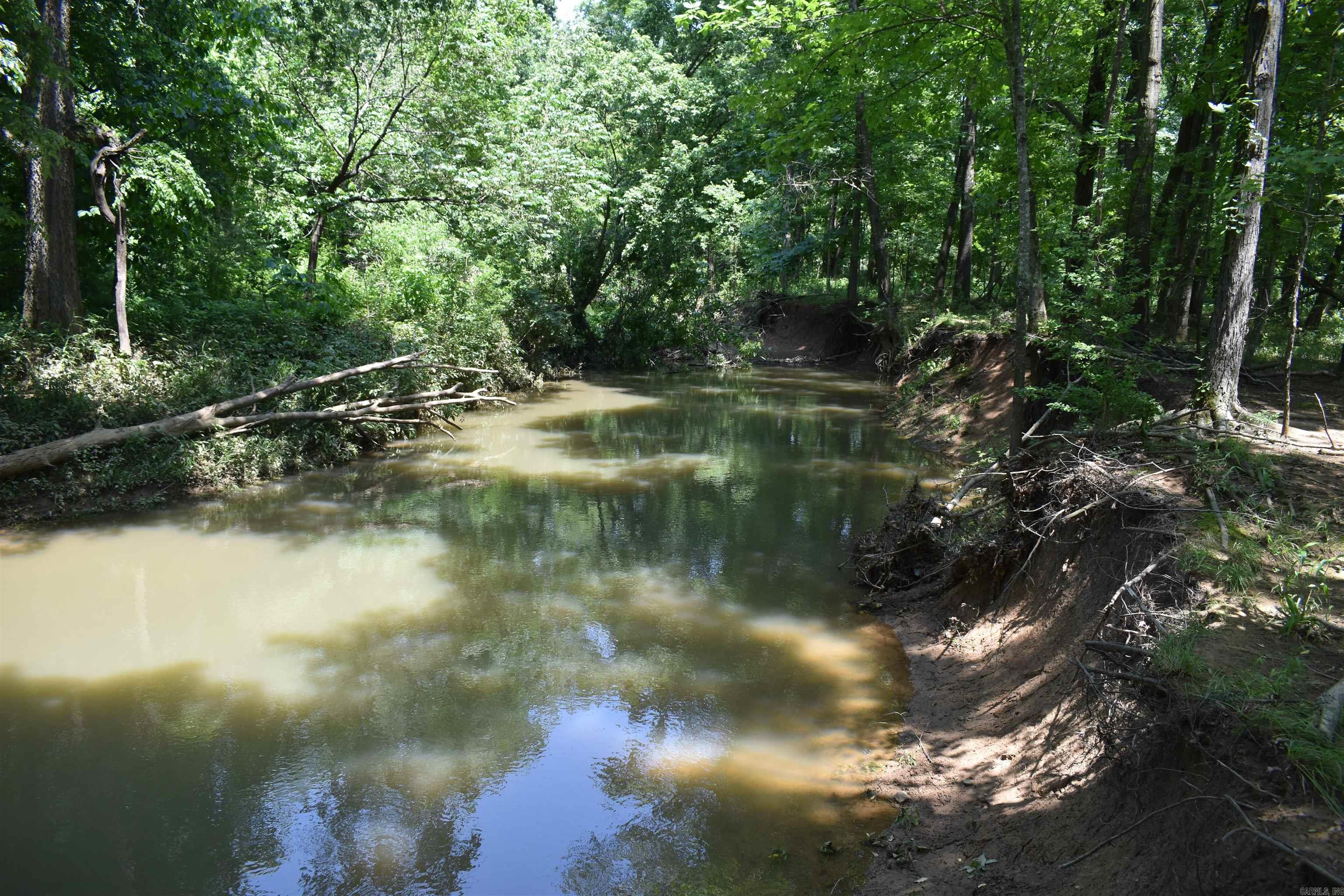 0000  Spring Creek Road  Danville, AR