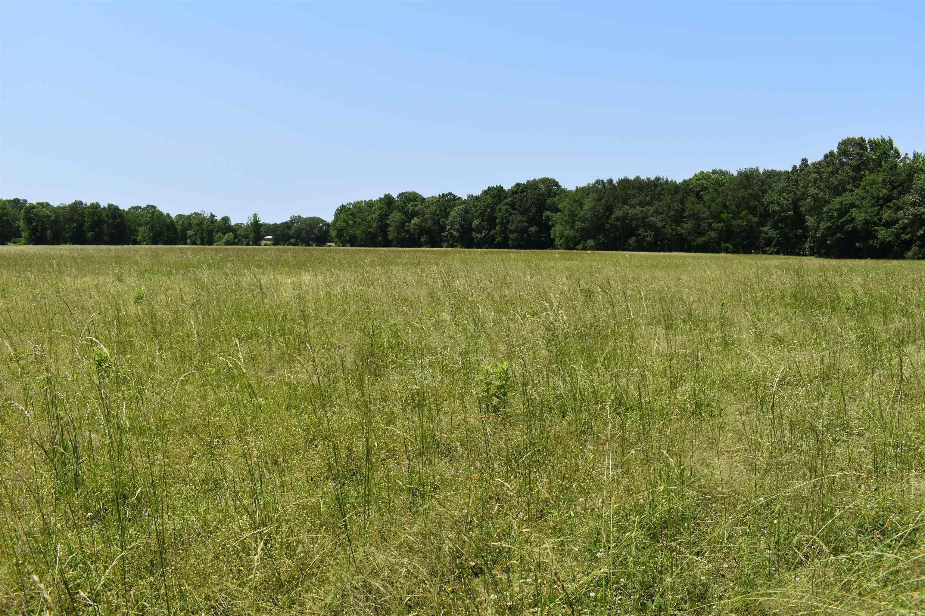0000  Spring Creek Road  Danville, AR