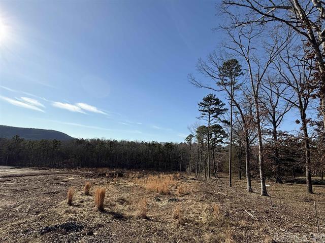 105  Crestwood  Heber Springs, AR