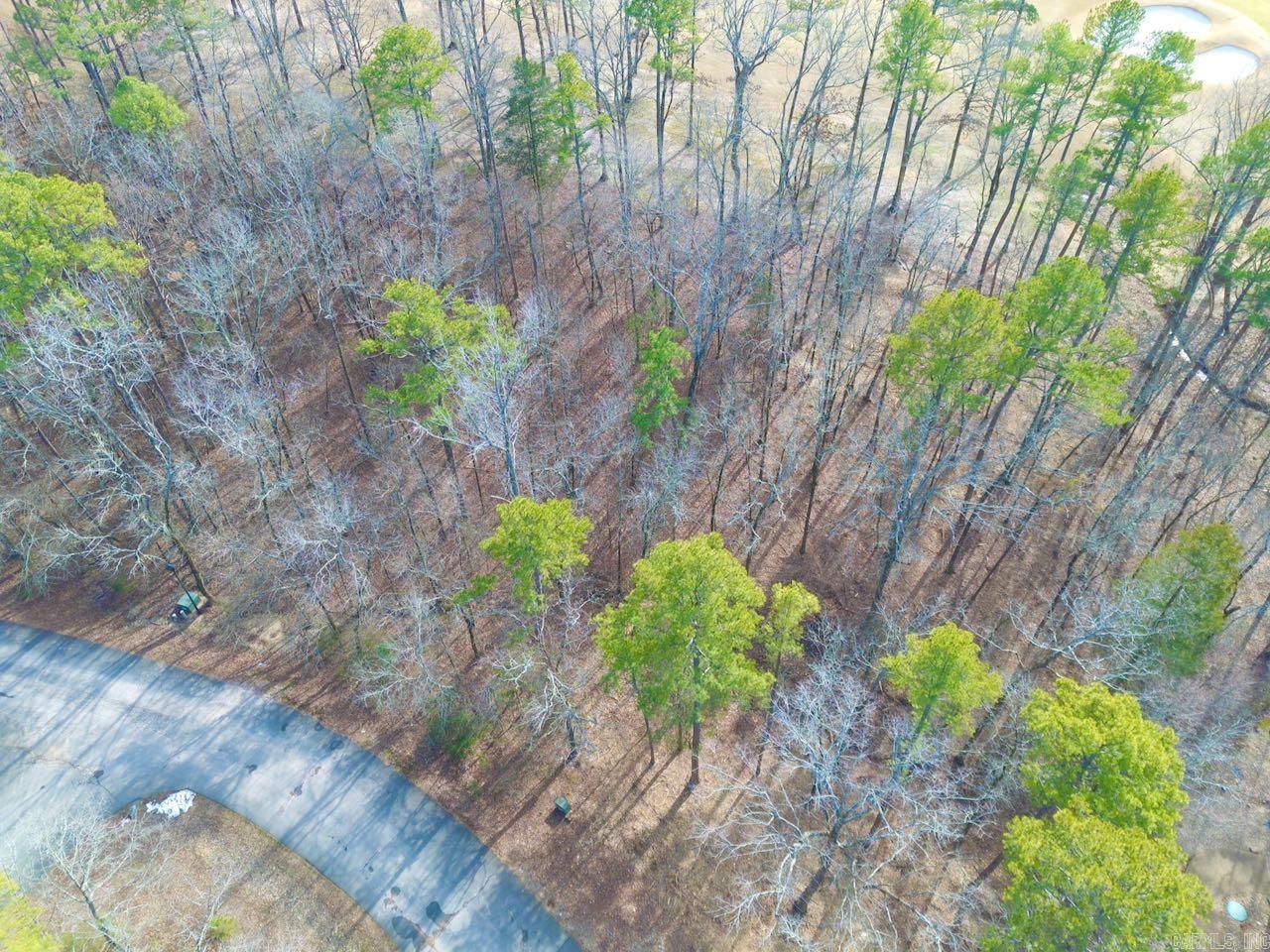 4  Princesa  Hot Springs Village, AR