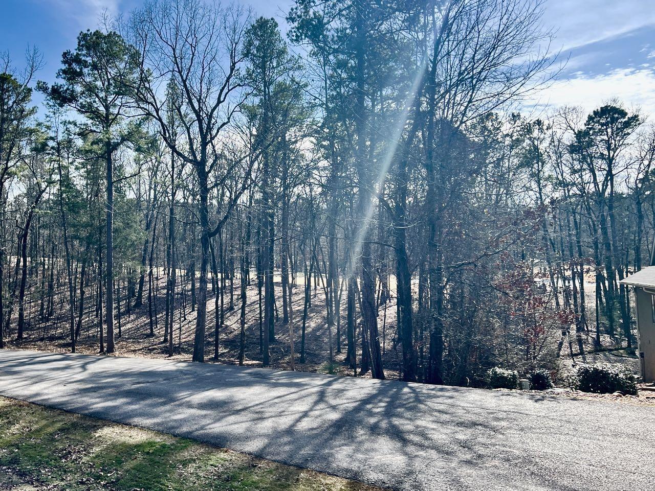 4  Princesa  Hot Springs Village, AR