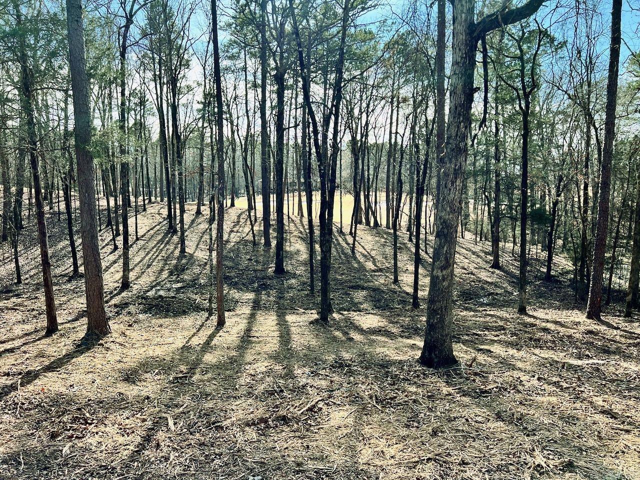 4  Princesa  Hot Springs Village, AR