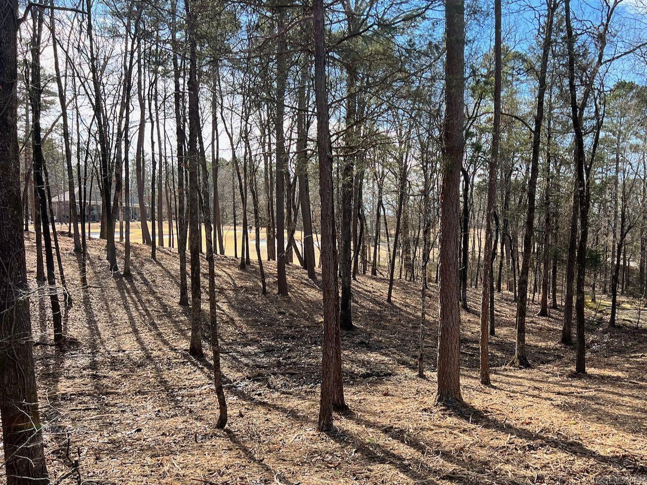4  Princesa  Hot Springs Village, AR