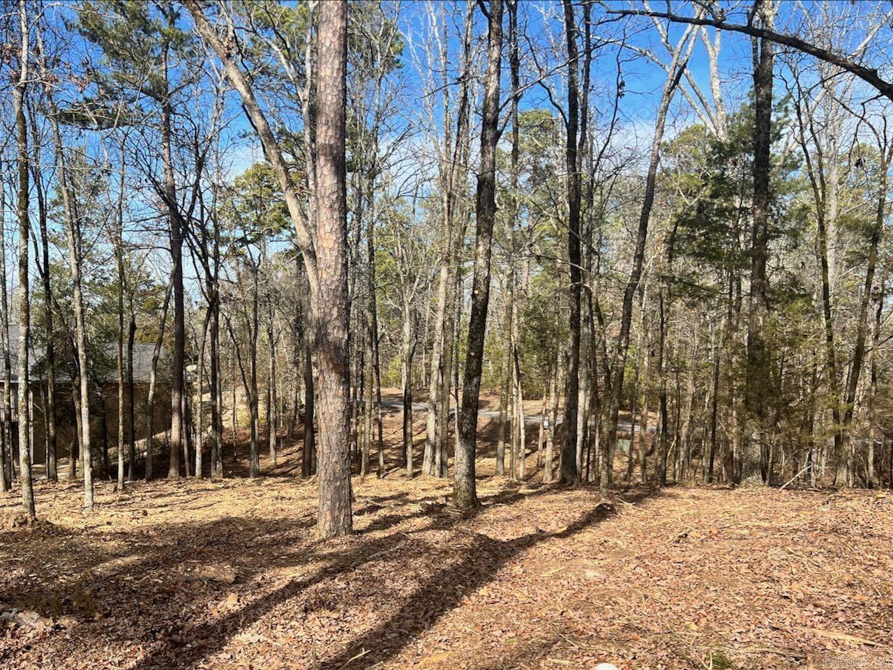4  Princesa  Hot Springs Village, AR