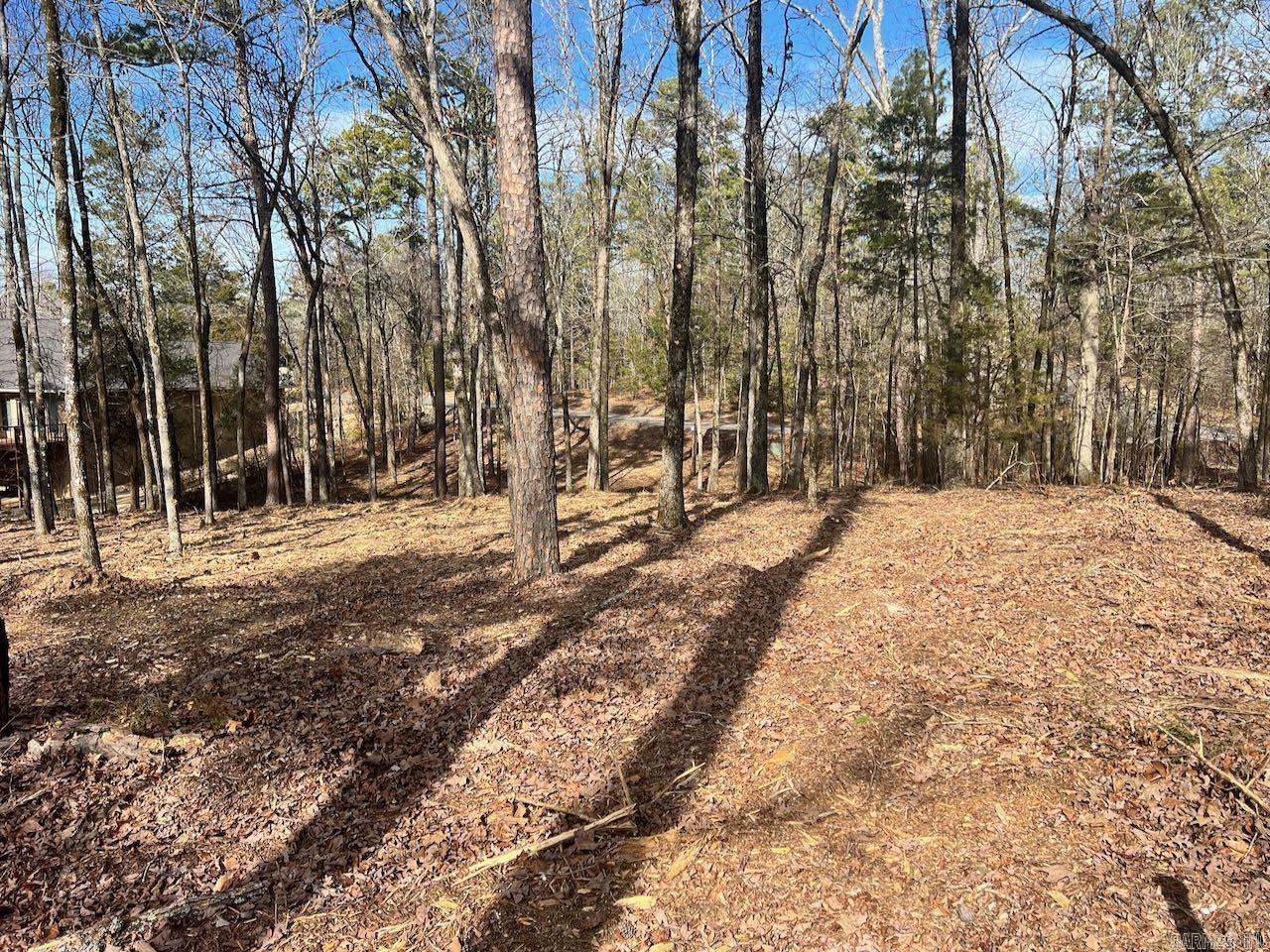 4  Princesa  Hot Springs Village, AR