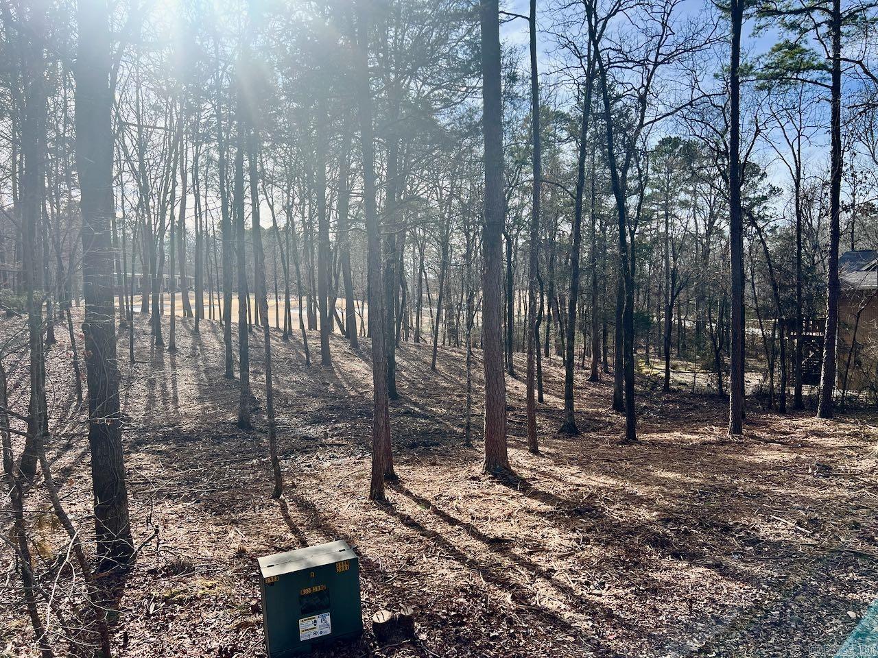 4  Princesa  Hot Springs Village, AR
