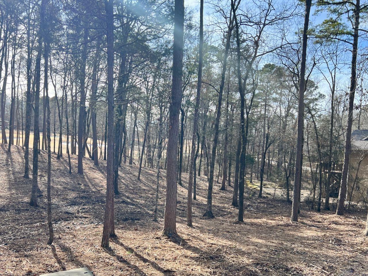 4  Princesa  Hot Springs Village, AR