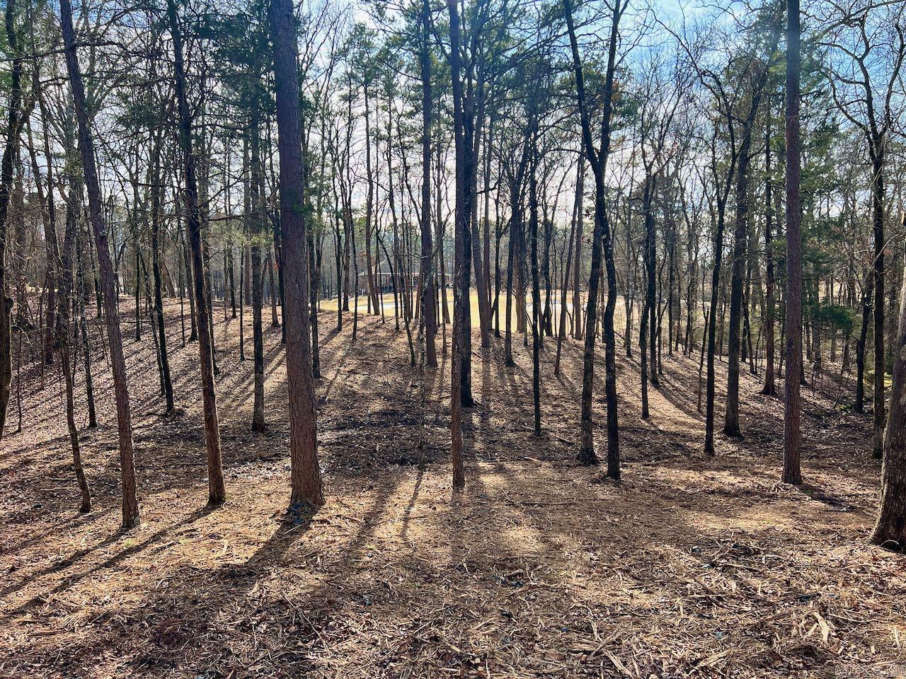 4  Princesa  Hot Springs Village, AR