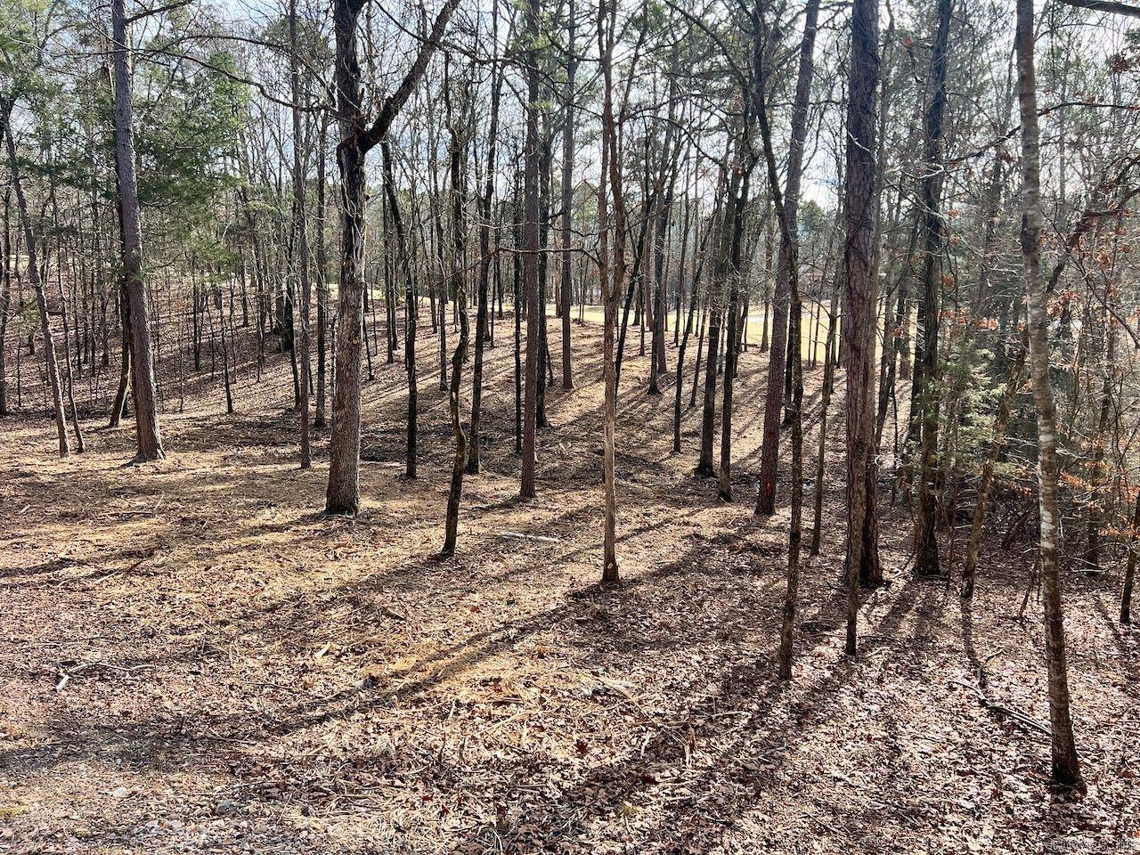 4  Princesa  Hot Springs Village, AR