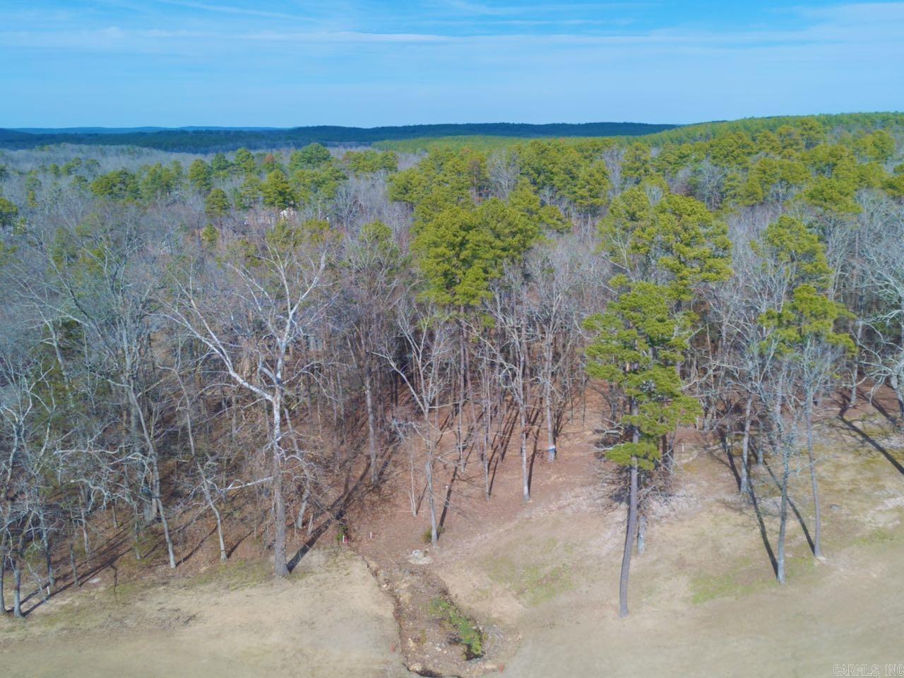 4  Princesa  Hot Springs Village, AR