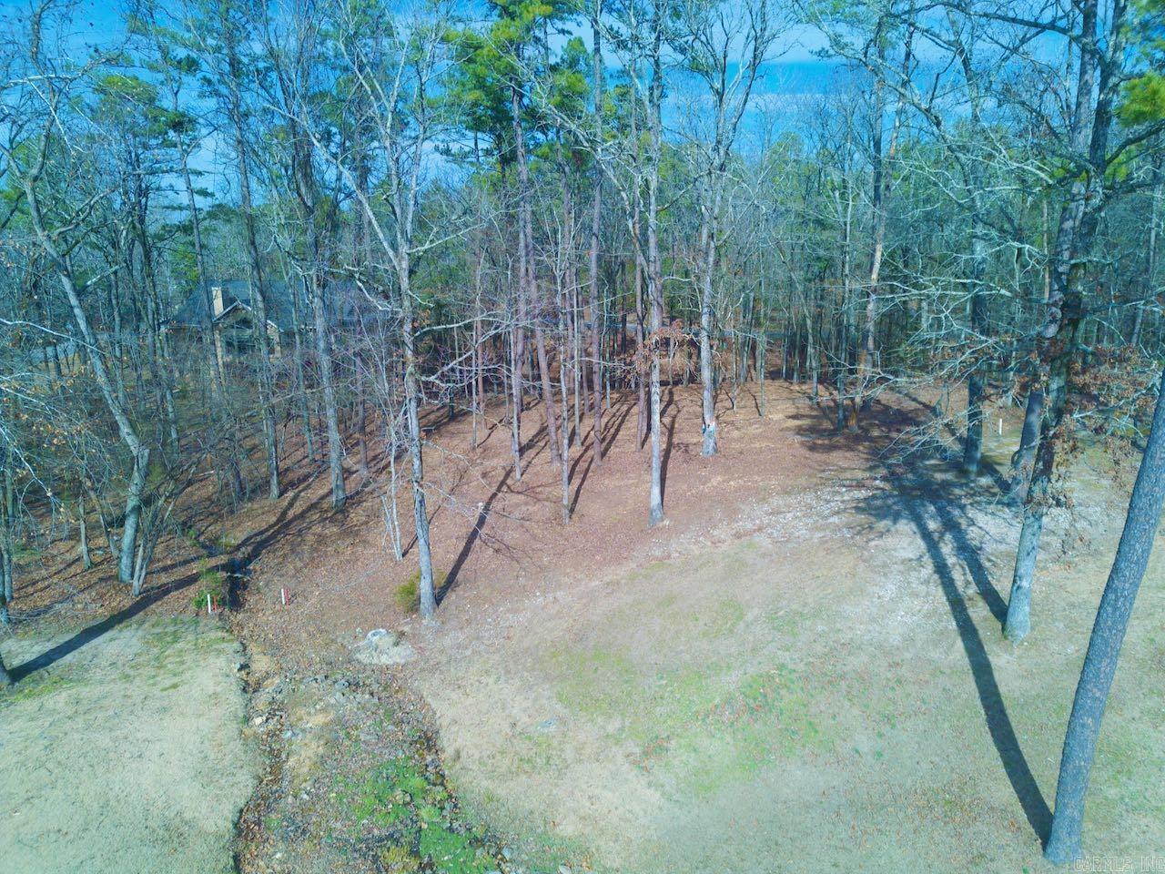 4  Princesa  Hot Springs Village, AR