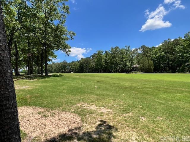 4  Princesa  Hot Springs Village, AR