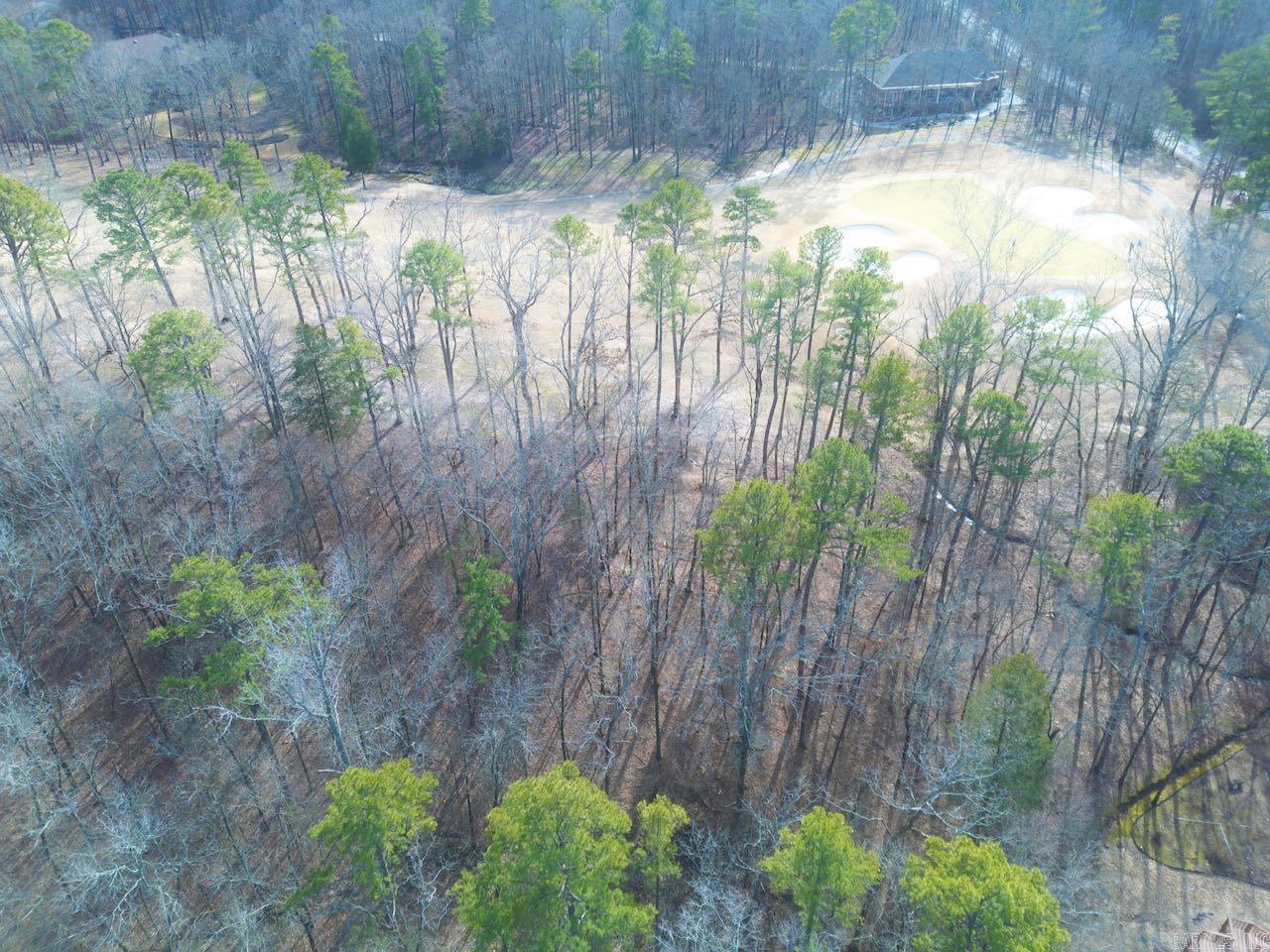4  Princesa  Hot Springs Village, AR