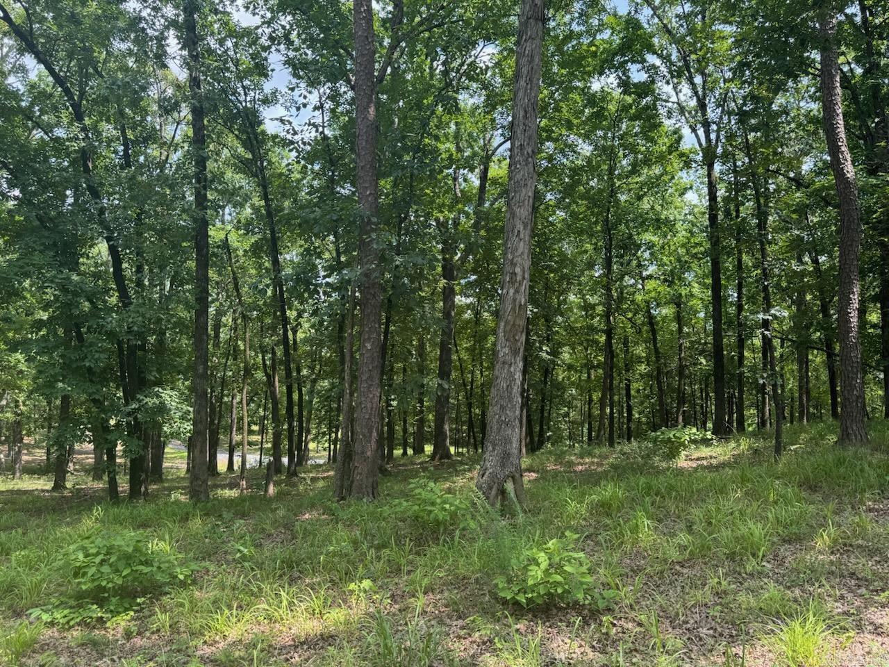 133  Bethesda  Mena, AR