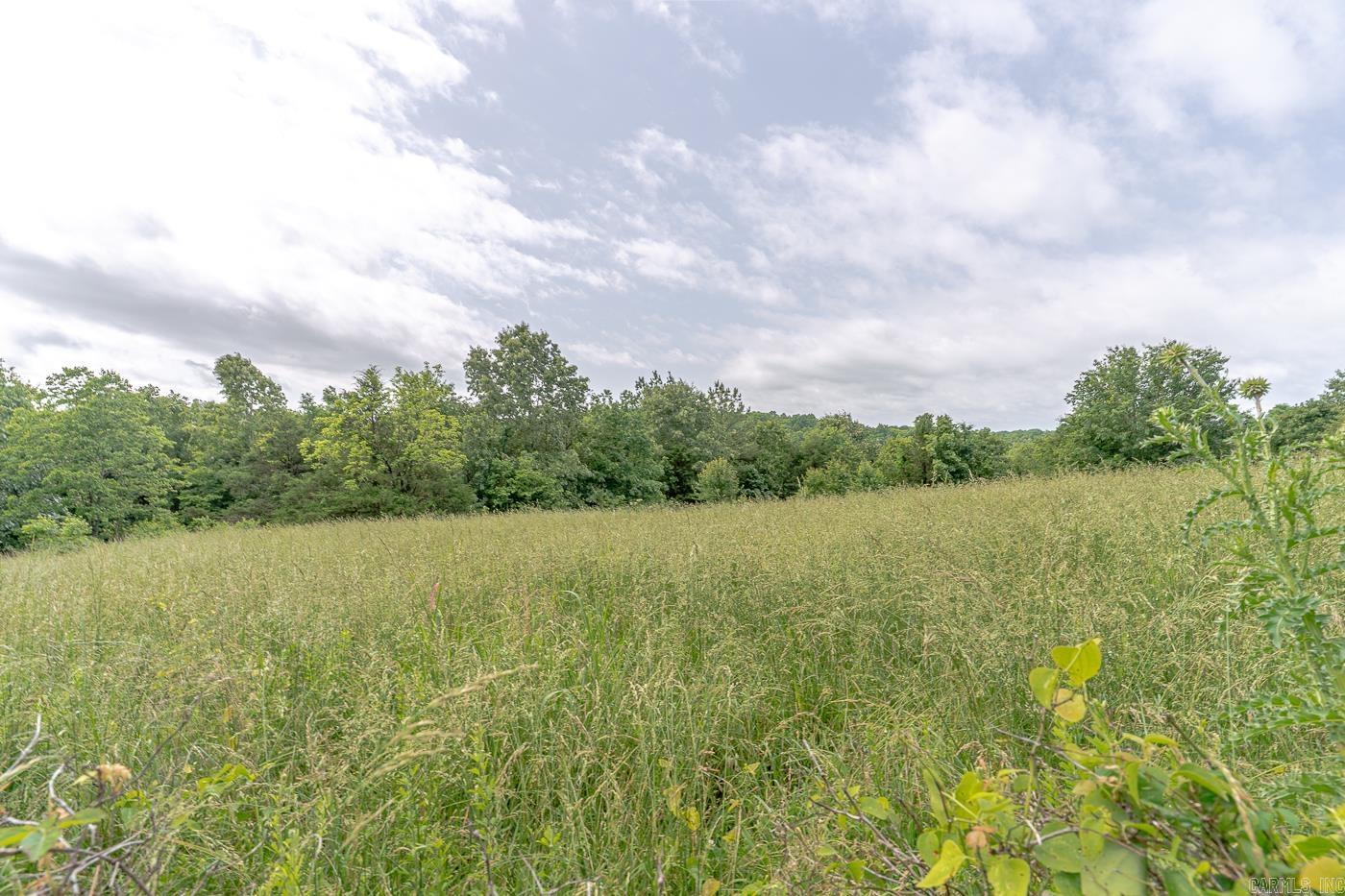 1788  Weatherstone Rd  Mammoth Spring, AR
